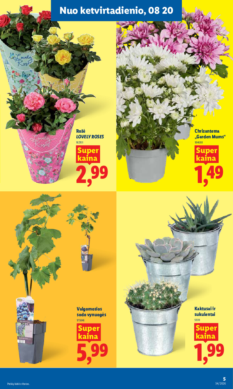 lidl - MAISTO PREKIŲ PASIŪLYMAI (2026-08-17 - 2026-08-23) - page: 5