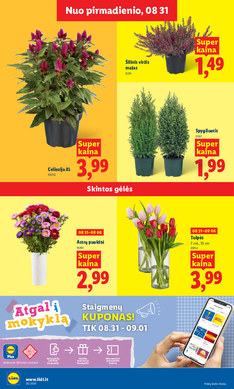lidl - MAISTO PREKIŲ PASIŪLYMAI (2026-08-31 - 2026-09-06) - page: 6