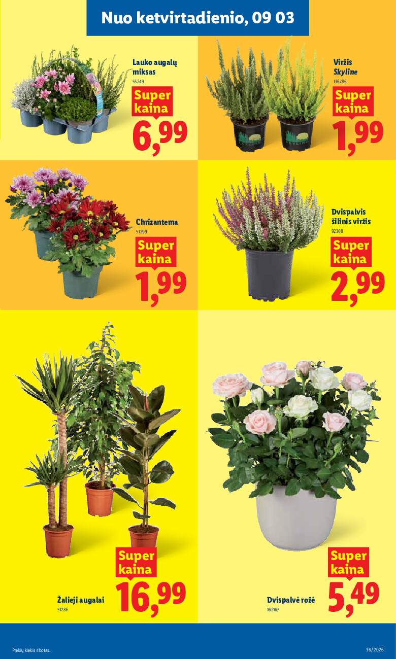 lidl - MAISTO PREKIŲ PASIŪLYMAI (2026-08-31 - 2026-09-06) - page: 7
