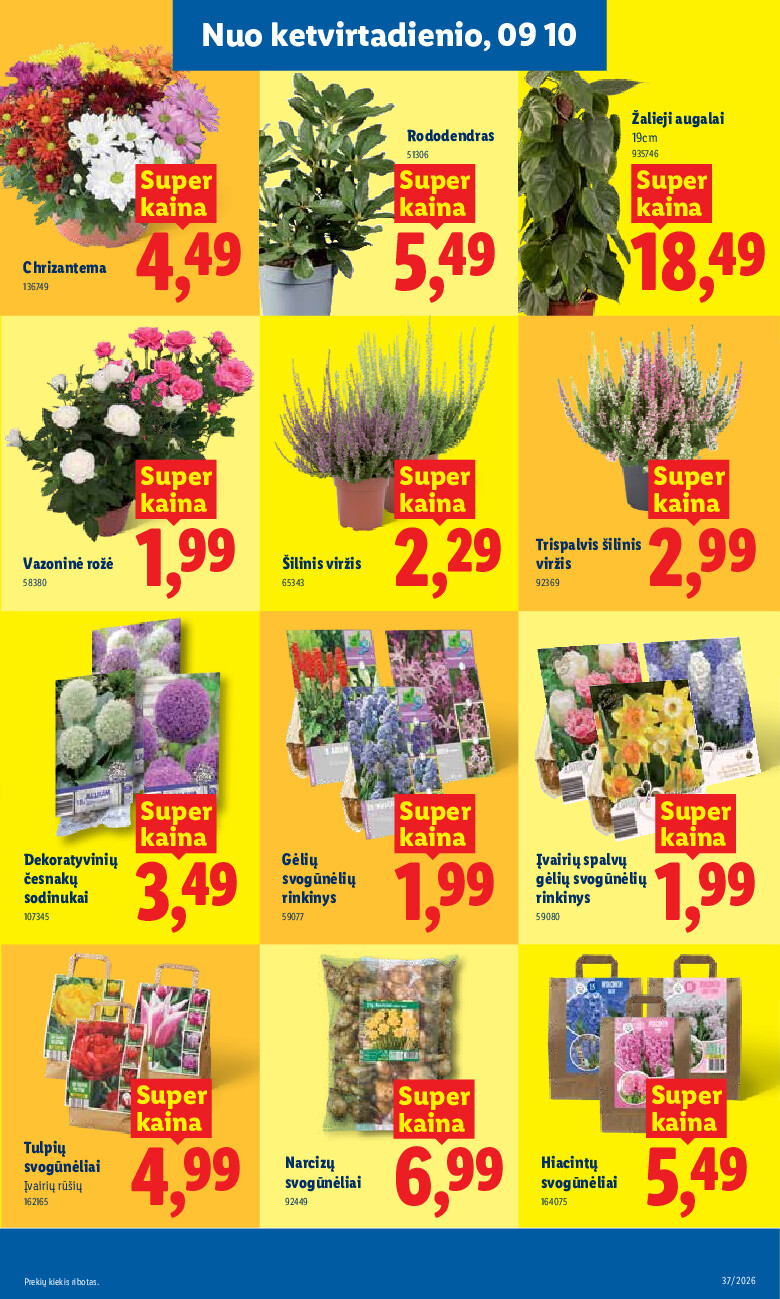 lidl - MAISTO PREKIŲ PASIŪLYMAI (2026-09-07 - 2026-09-13) - page: 21