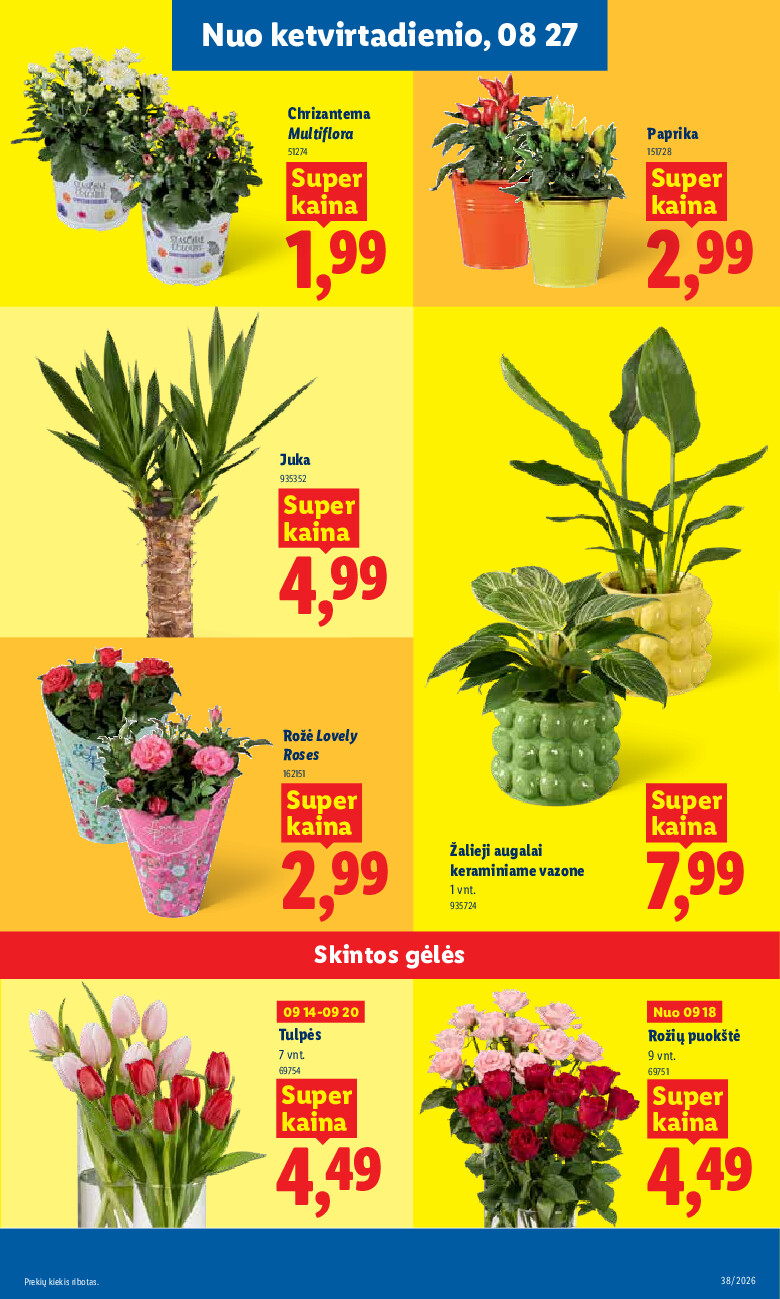 lidl - MAISTO PREKIŲ PASIŪLYMAI (2026-09-14 - 2026-09-20) - page: 5