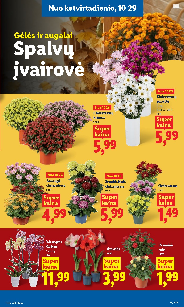 lidl - MAISTO PREKIŲ PASIŪLYMAI (2026-10-26 - 2026-11-01) - page: 43