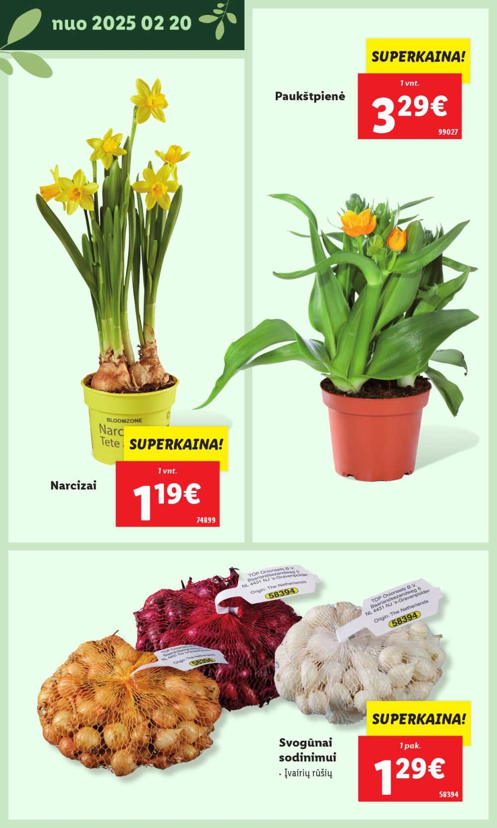 lidl - LIDL - Švenčiame sodą (2025 02 17 - ) - page: 10