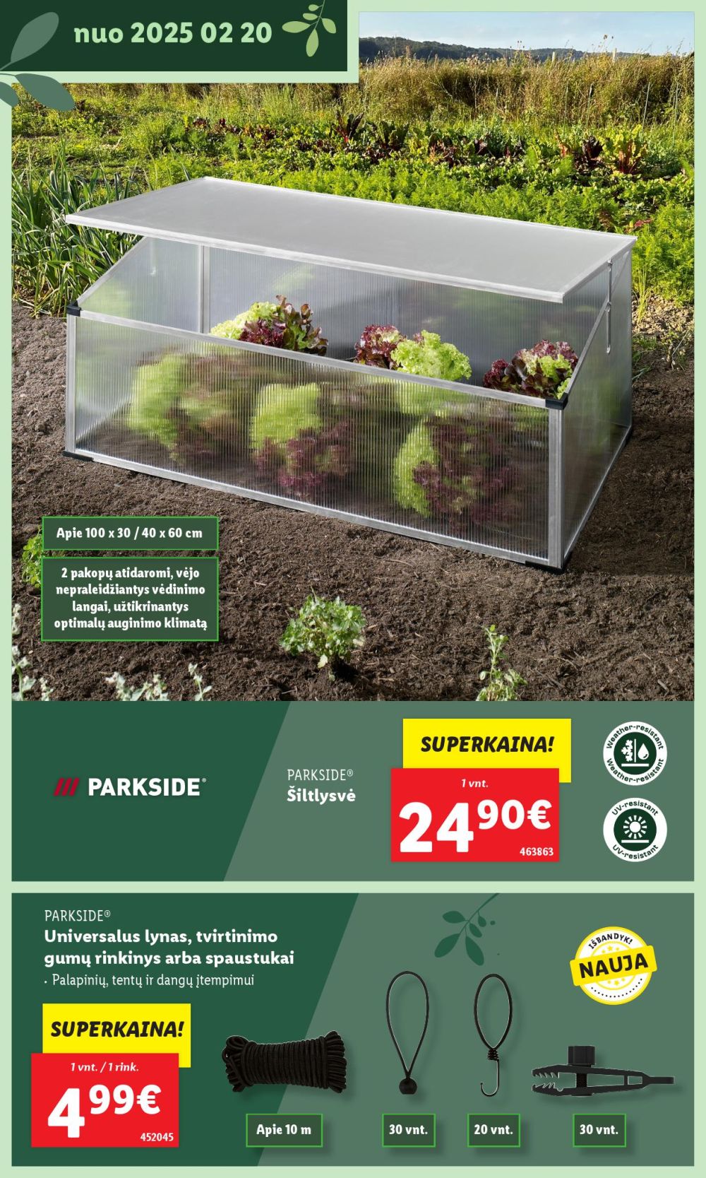 lidl - LIDL - Švenčiame sodą (2025 02 17 - ) - page: 14