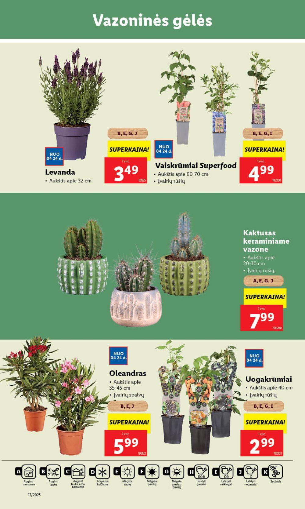 lidl - LIDL - Maisto prekių pasiūlymai (2025 04 24 - 2025 04 27) - page: 50 lidl - LIDL - Maisto prekių pasiūlymai (2025 04 24 - 2025 04 27) - page: 50