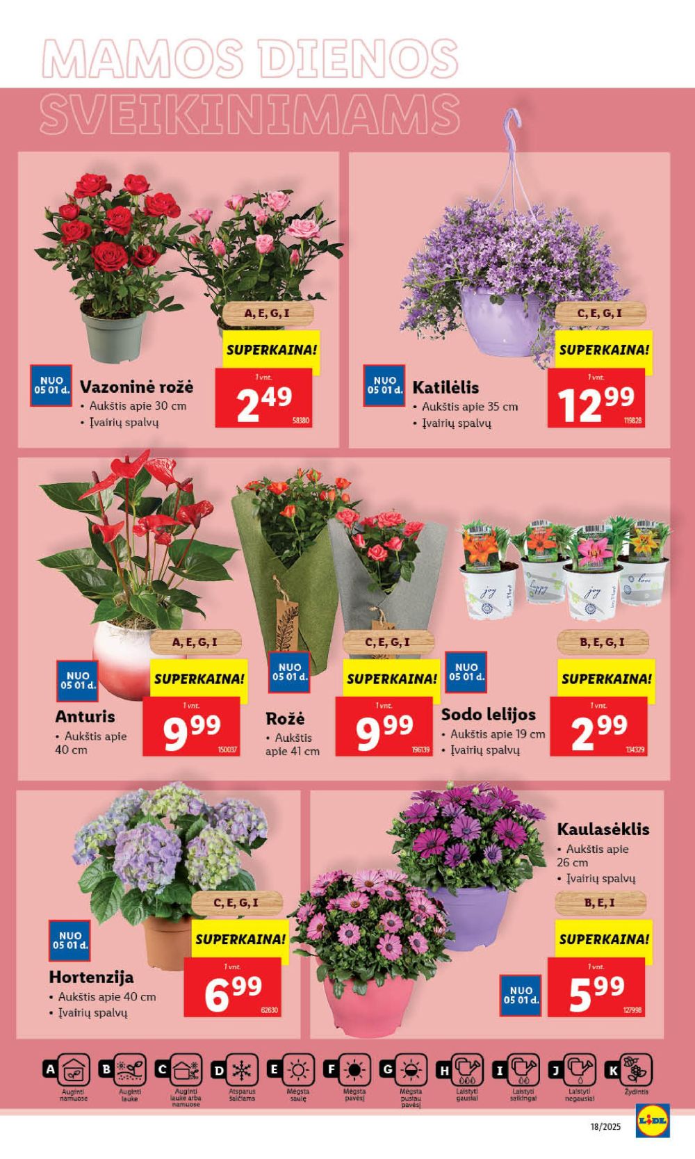 lidl - LIDL - Maisto prekių pasiūlymai (2025 04 28 - 2025 05 04) - page: 38 lidl - LIDL - Maisto prekių pasiūlymai (2025 04 28 - 2025 05 04) - page: 38