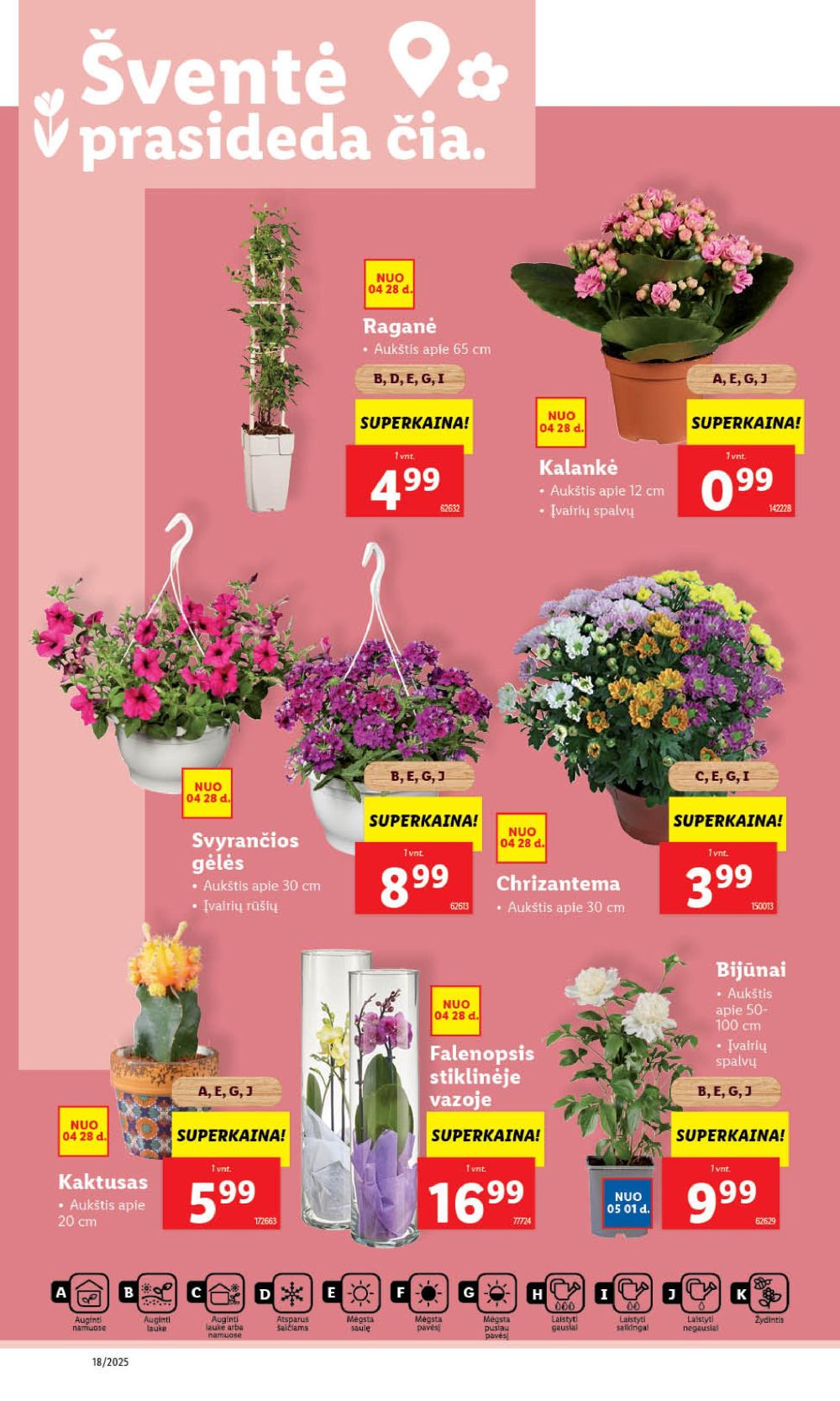 lidl - LIDL - Maisto prekių pasiūlymai (2025 04 28 - 2025 05 04) - page: 37 lidl - LIDL - Maisto prekių pasiūlymai (2025 04 28 - 2025 05 04) - page: 37
