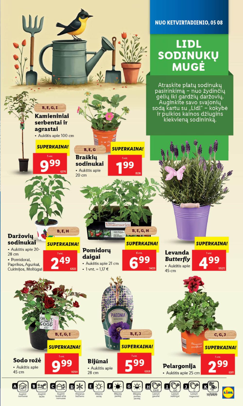 lidl - LIDL - Maisto prekių pasiūlymai (2025 05 05 - 2025 05 11) - page: 39 lidl - LIDL - Maisto prekių pasiūlymai (2025 05 05 - 2025 05 11) - page: 39