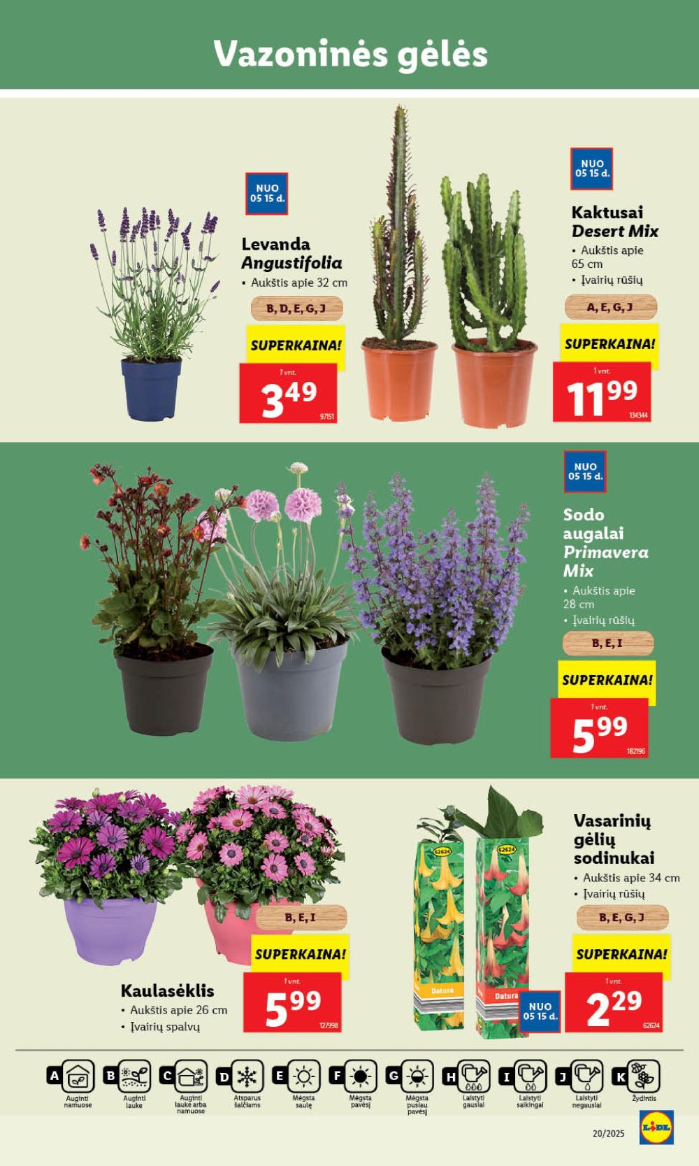 lidl - LIDL - Maisto prekių pasiūlymai (2025 05 12 - 2025 05 18) - page: 35 lidl - LIDL - Maisto prekių pasiūlymai (2025 05 12 - 2025 05 18) - page: 35