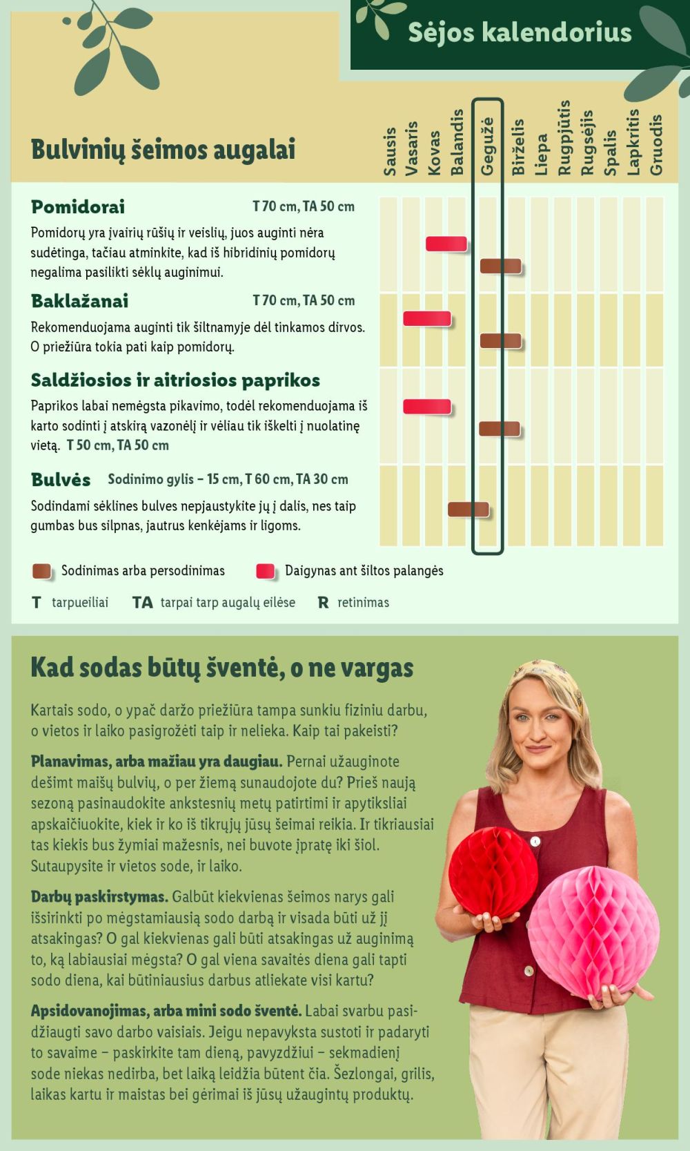 lidl - LIDL - Švenčiame sodą (2025 05 12 - ) - page: 7 lidl - LIDL - Švenčiame sodą (2025 05 12 - ) - page: 7
