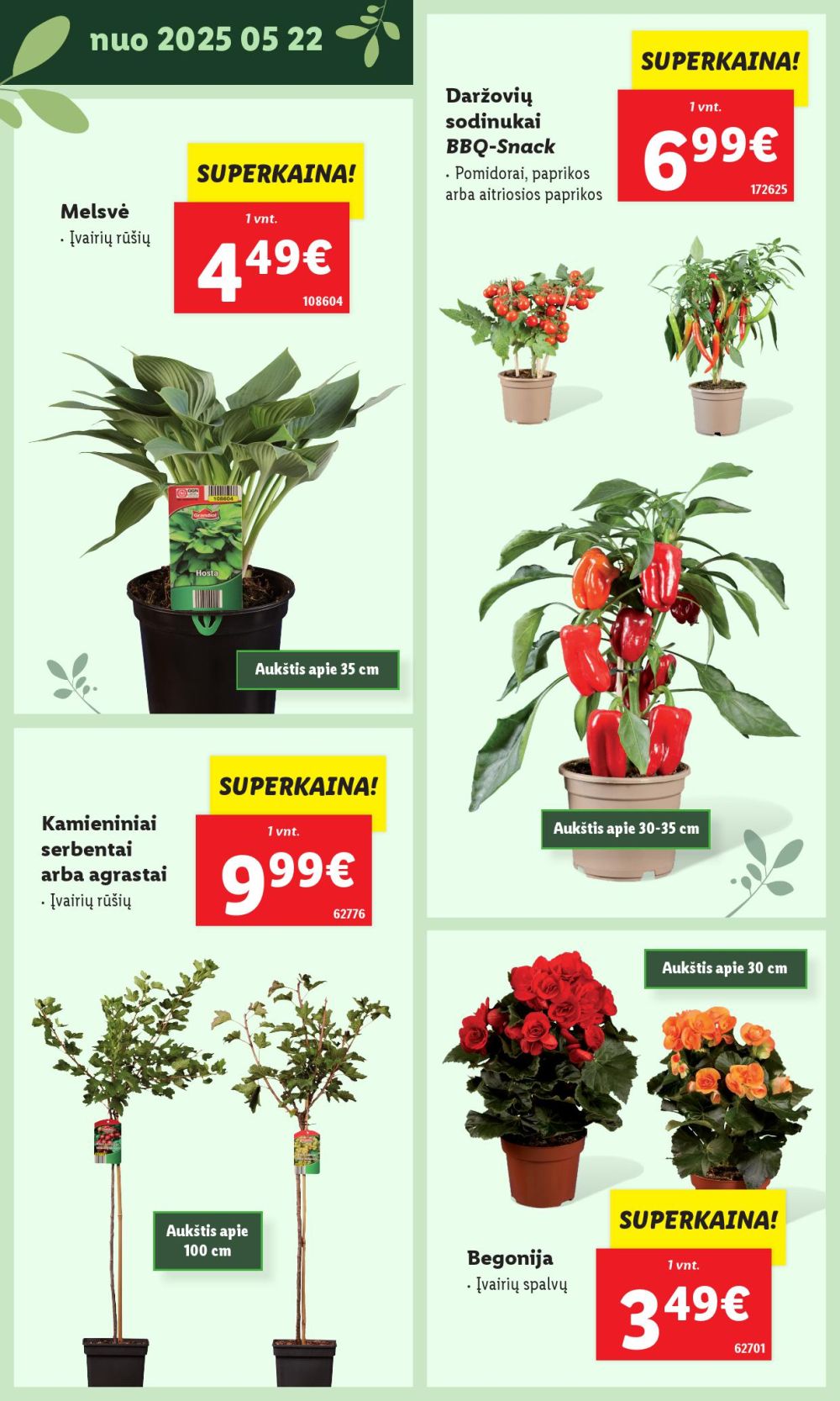 lidl - LIDL - Švenčiame sodą (2025 05 12 - ) - page: 22 lidl - LIDL - Švenčiame sodą (2025 05 12 - ) - page: 22