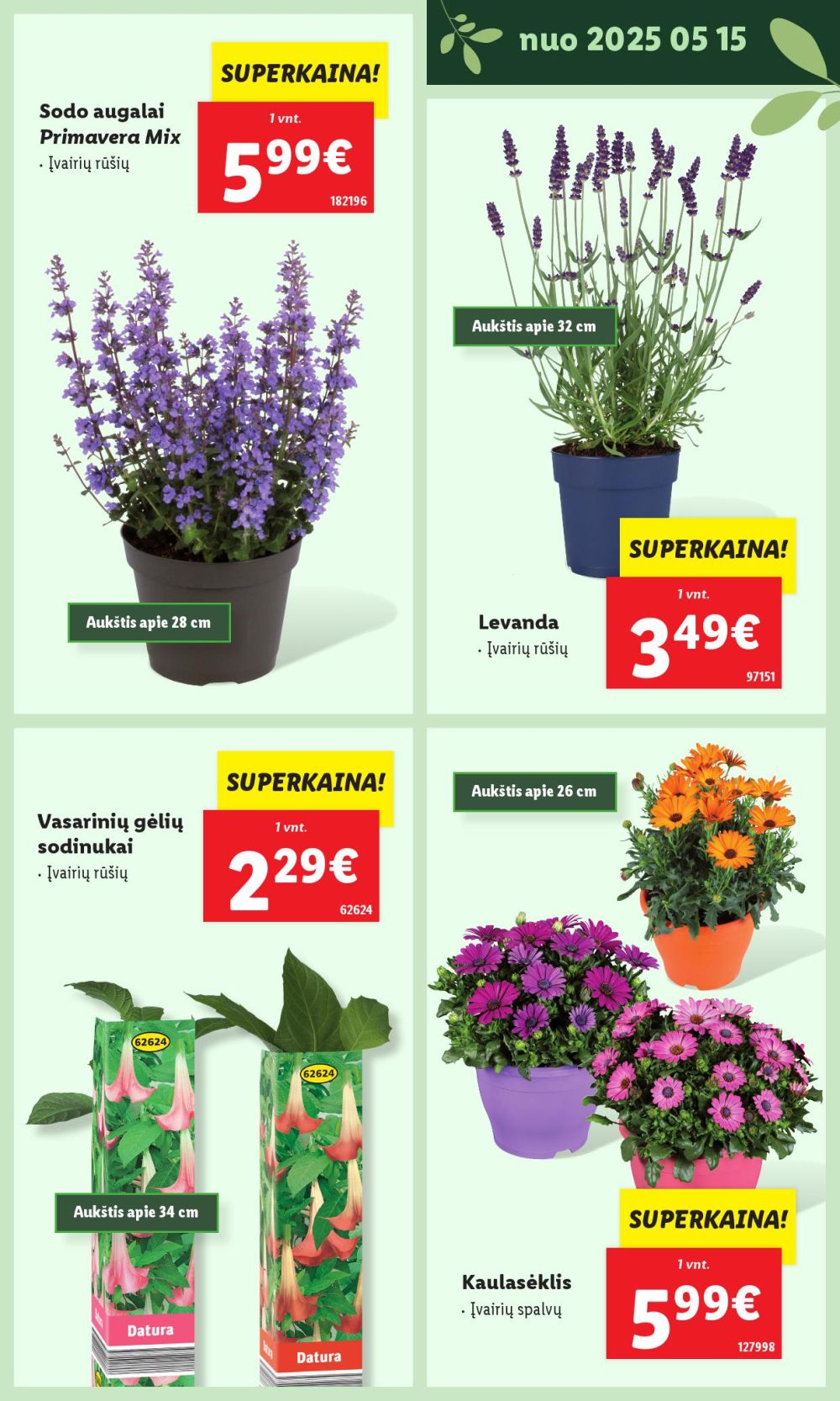 lidl - LIDL - Švenčiame sodą (2025 05 12 - ) - page: 11 lidl - LIDL - Švenčiame sodą (2025 05 12 - ) - page: 11