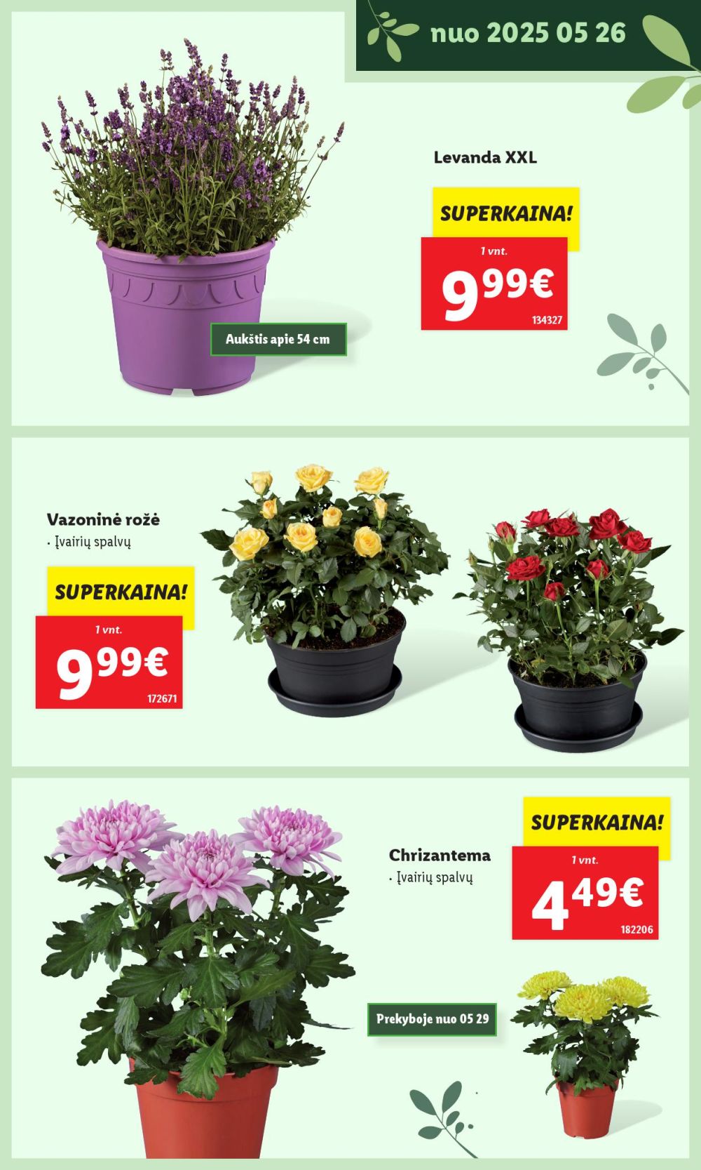 lidl - LIDL - Švenčiame sodą (2025 05 12 - ) - page: 23 lidl - LIDL - Švenčiame sodą (2025 05 12 - ) - page: 23