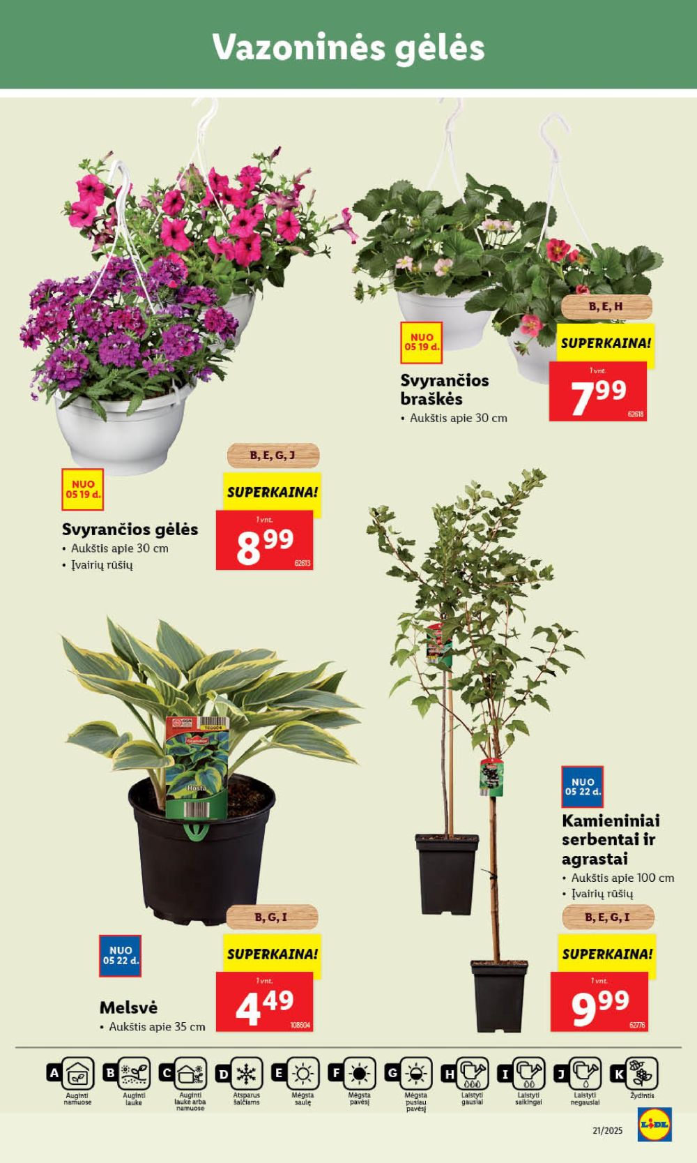 lidl - LIDL - Maisto prekių pasiūlymai (2025 05 22 - 2025 05 25) - page: 47