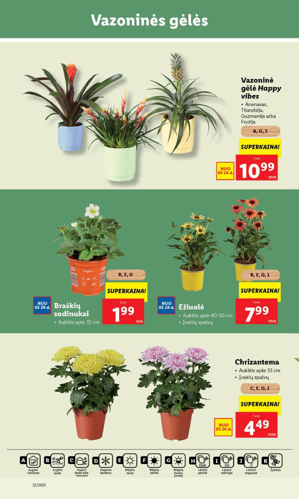 lidl - LIDL - Maisto prekių pasiūlymai (2025 05 26 - 2025 06 01) - page: 32 lidl - LIDL - Maisto prekių pasiūlymai (2025 05 26 - 2025 06 01) - page: 32