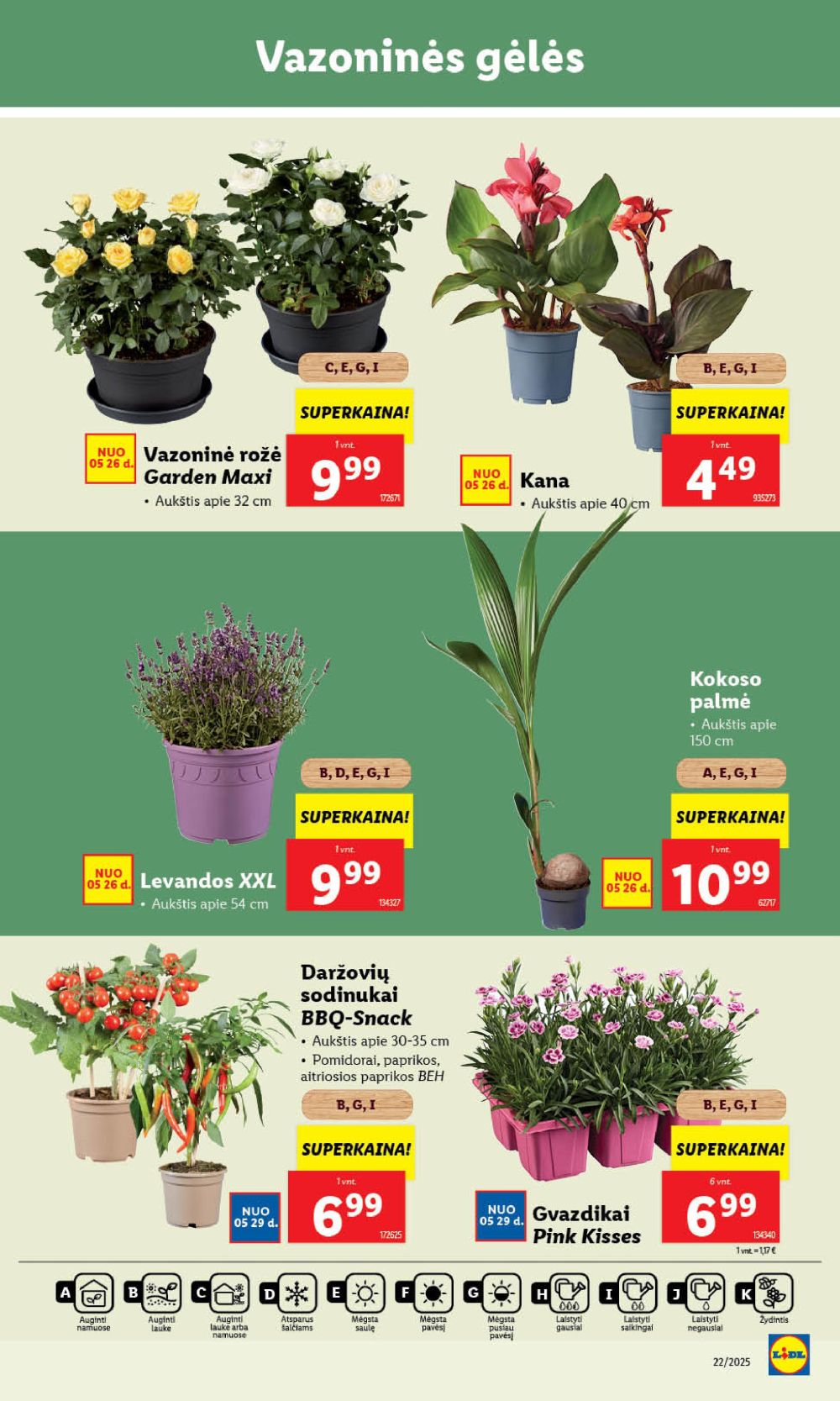 lidl - LIDL - Maisto prekių pasiūlymai (2025 05 26 - 2025 06 01) - page: 33 lidl - LIDL - Maisto prekių pasiūlymai (2025 05 26 - 2025 06 01) - page: 33