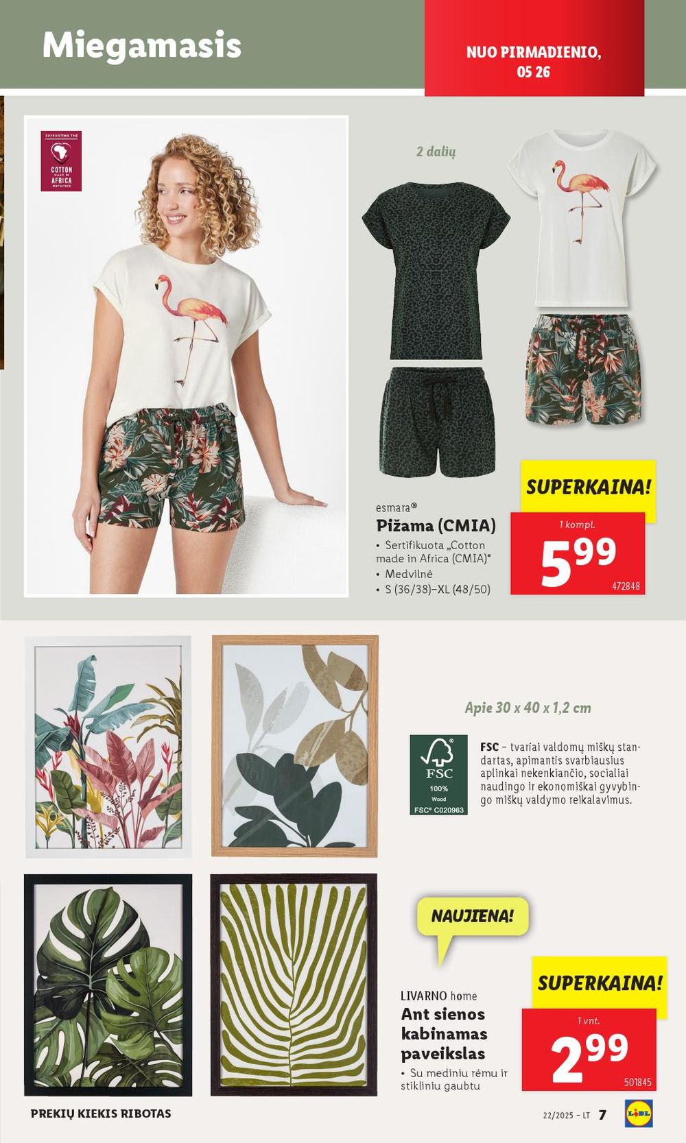 lidl - LIDL - Ne maisto prekių pasiūlymai (2025 05 26 - 2025 06 01) - page: 7
