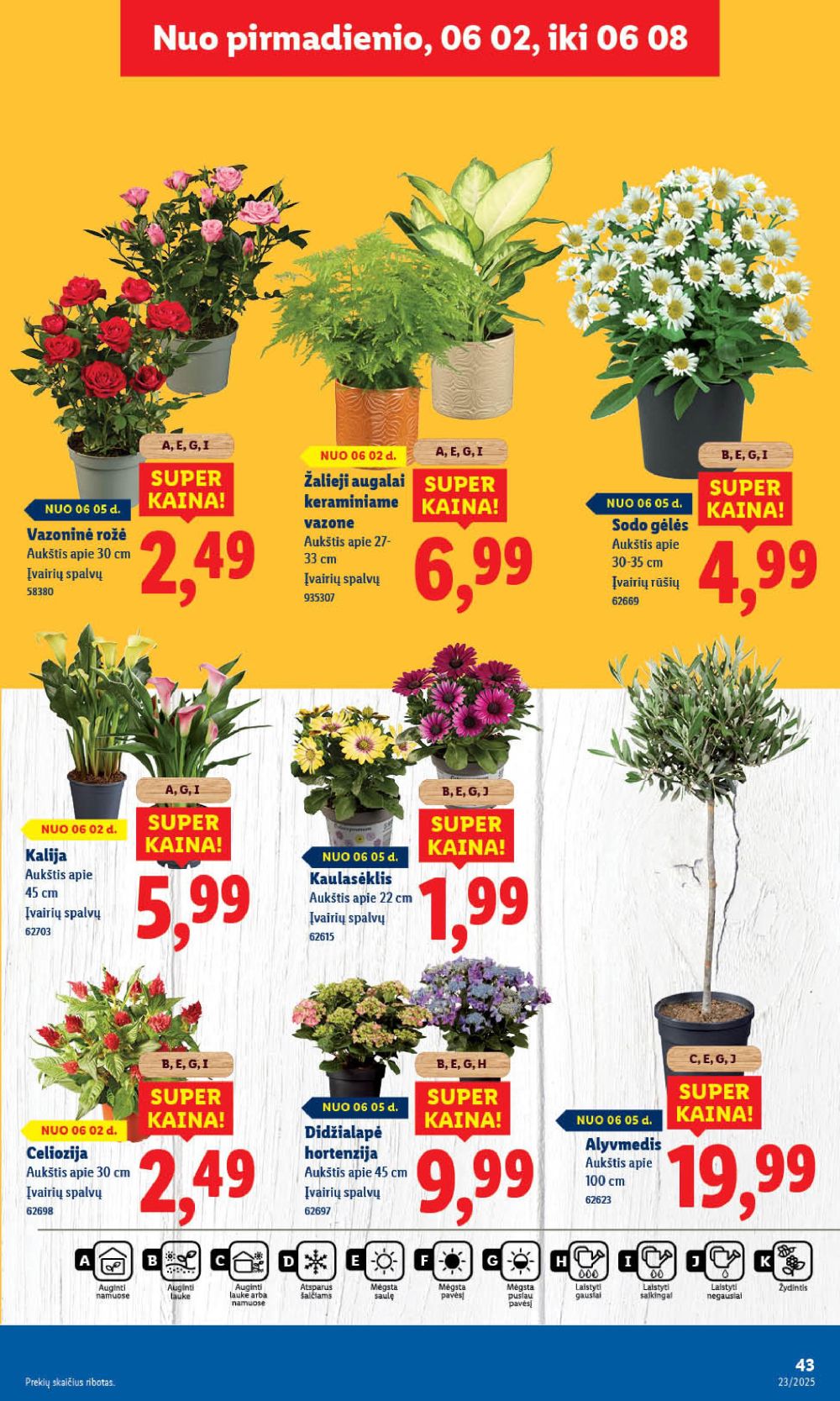 lidl - LIDL - Maisto prekių pasiūlymai (2025 06 02 - 2025 06 08) - page: 49 lidl - LIDL - Maisto prekių pasiūlymai (2025 06 02 - 2025 06 08) - page: 49