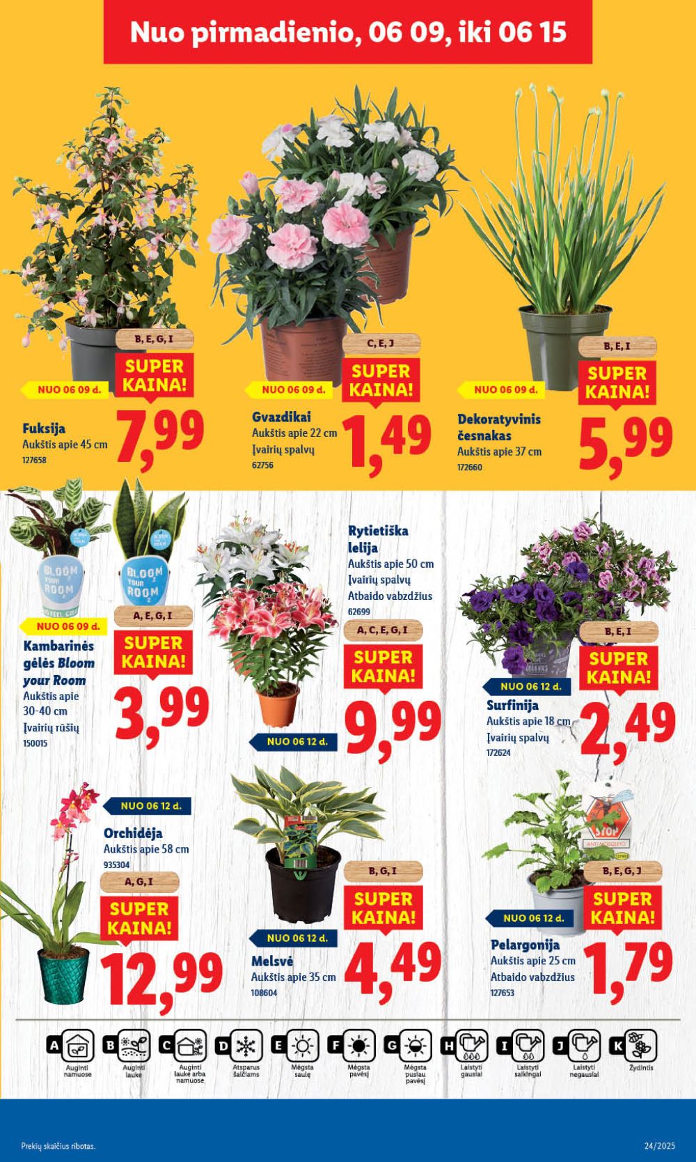 lidl - LIDL - Maisto prekių pasiūlymai (2025 06 09 - 2025 06 15) - page: 41 lidl - LIDL - Maisto prekių pasiūlymai (2025 06 09 - 2025 06 15) - page: 41