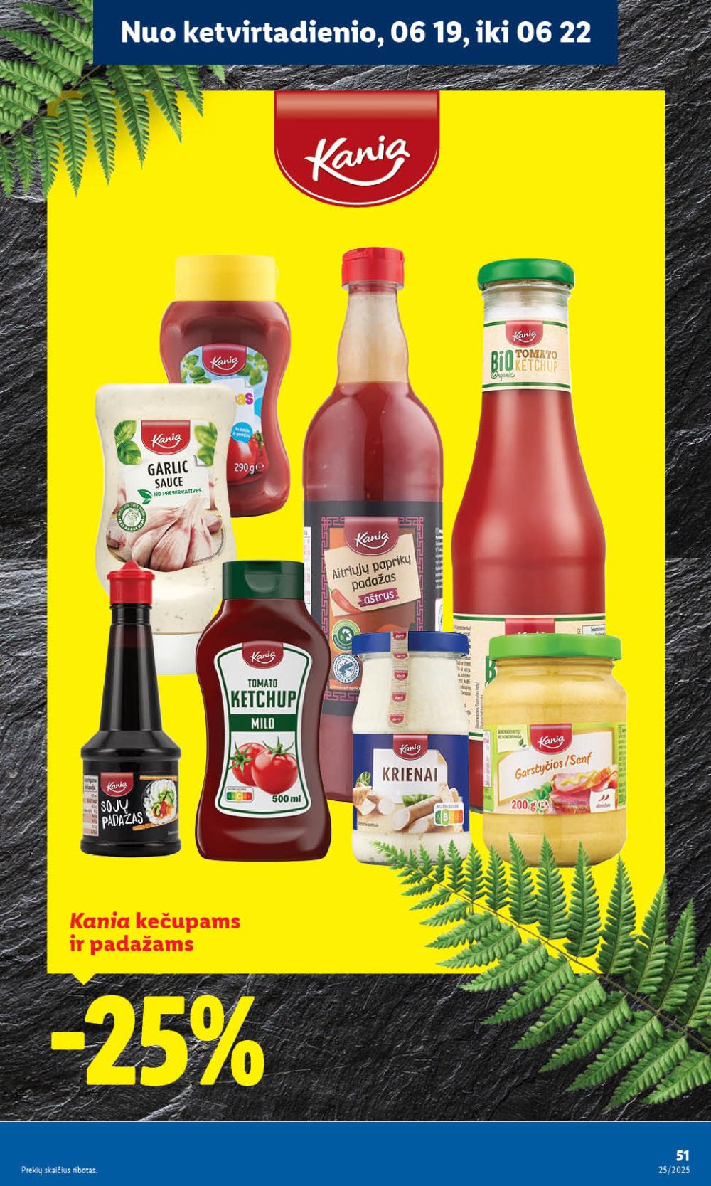 lidl - LIDL - Maisto prekių pasiūlymai (2025 06 16 - 2025 06 22) - page: 51 lidl - LIDL - Maisto prekių pasiūlymai (2025 06 16 - 2025 06 22) - page: 51