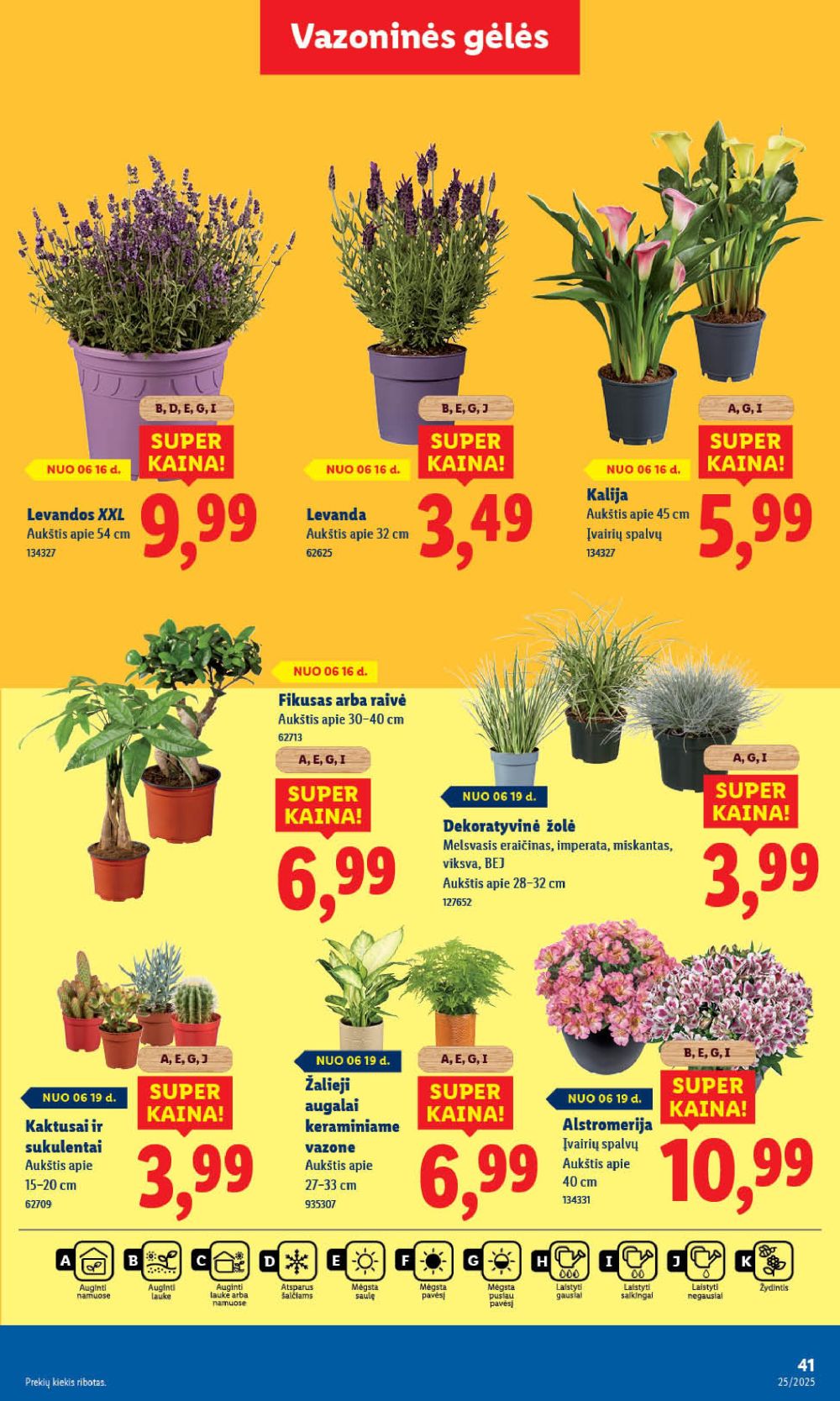 lidl - LIDL - Maisto prekių pasiūlymai (2025 06 16 - 2025 06 22) - page: 41 lidl - LIDL - Maisto prekių pasiūlymai (2025 06 16 - 2025 06 22) - page: 41