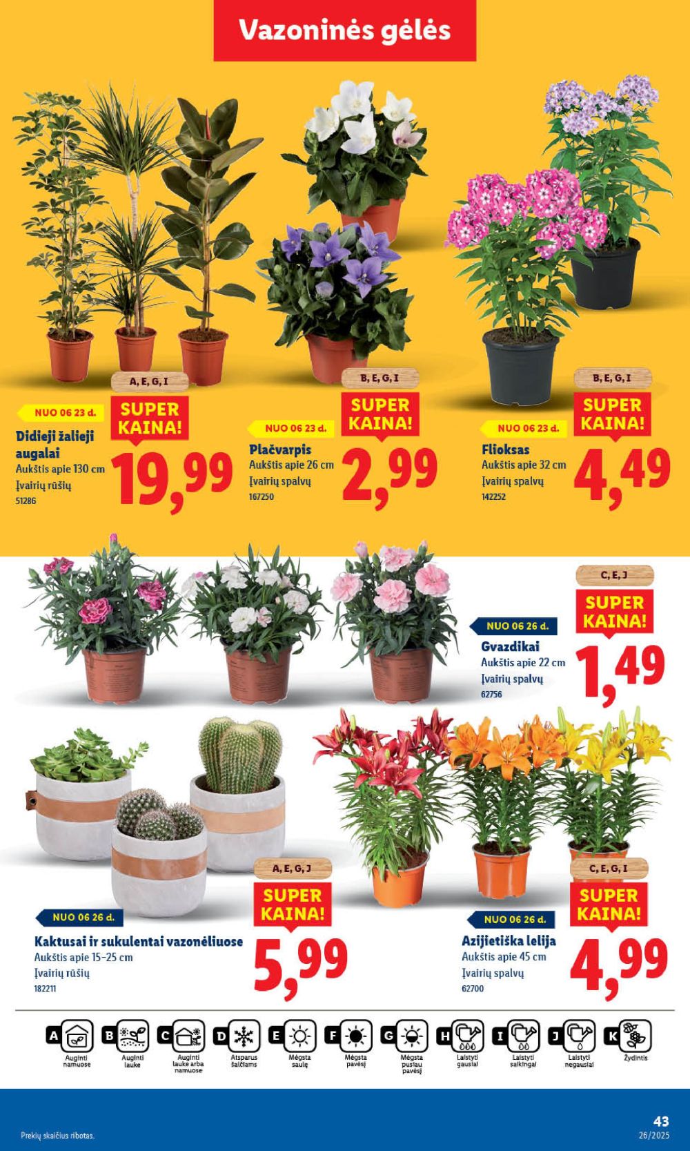 lidl - LIDL - Maisto prekių pasiūlymai (2025 06 23 - 2025 06 29) - page: 43 lidl - LIDL - Maisto prekių pasiūlymai (2025 06 23 - 2025 06 29) - page: 43