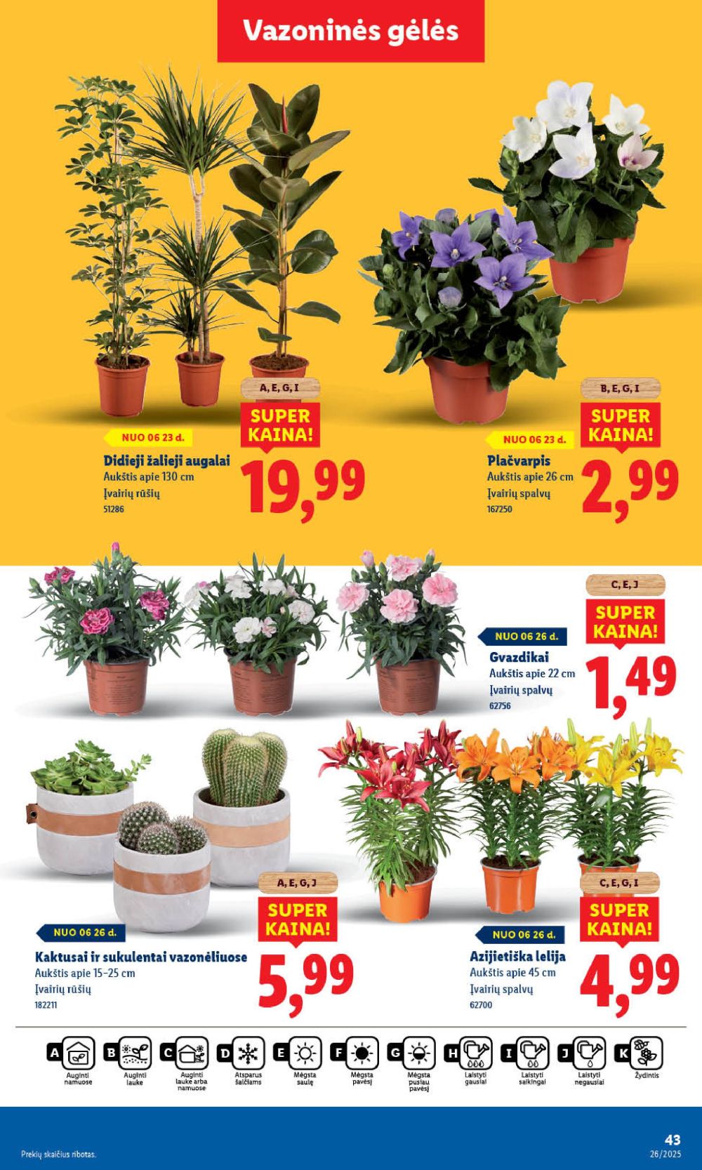 lidl - LIDL - Maisto prekių pasiūlymai (2025 06 26 - 2025 06 29) - page: 49 lidl - LIDL - Maisto prekių pasiūlymai (2025 06 26 - 2025 06 29) - page: 49