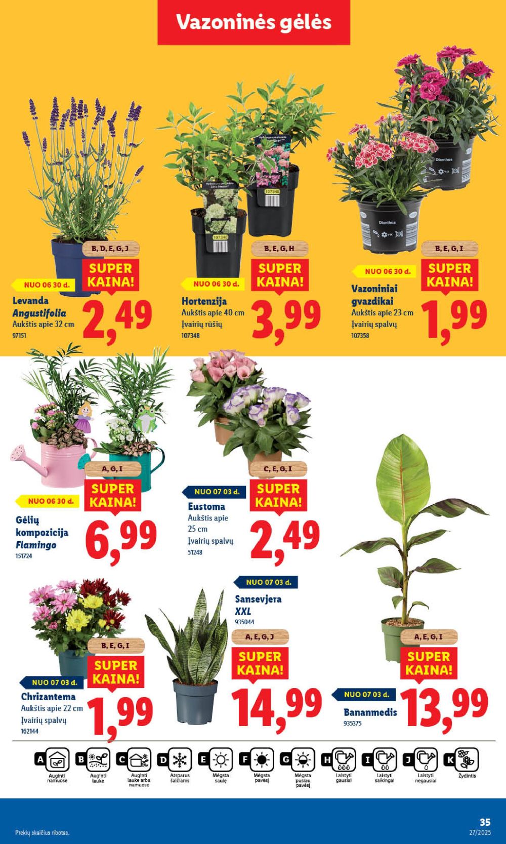 lidl - LIDL - Maisto prekių pasiūlymai (2025 06 30 - 2025 07 06) - page: 42 lidl - LIDL - Maisto prekių pasiūlymai (2025 06 30 - 2025 07 06) - page: 42
