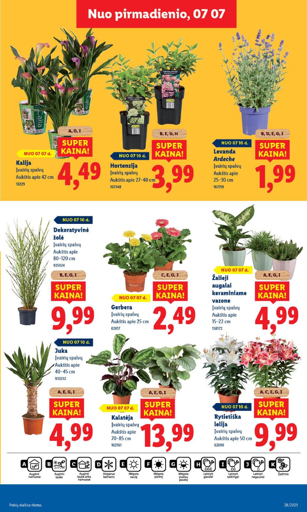 lidl - LIDL - Maisto prekių pasiūlymai (2025 07 07 - 2025 07 13) - page: 47 lidl - LIDL - Maisto prekių pasiūlymai (2025 07 07 - 2025 07 13) - page: 47
