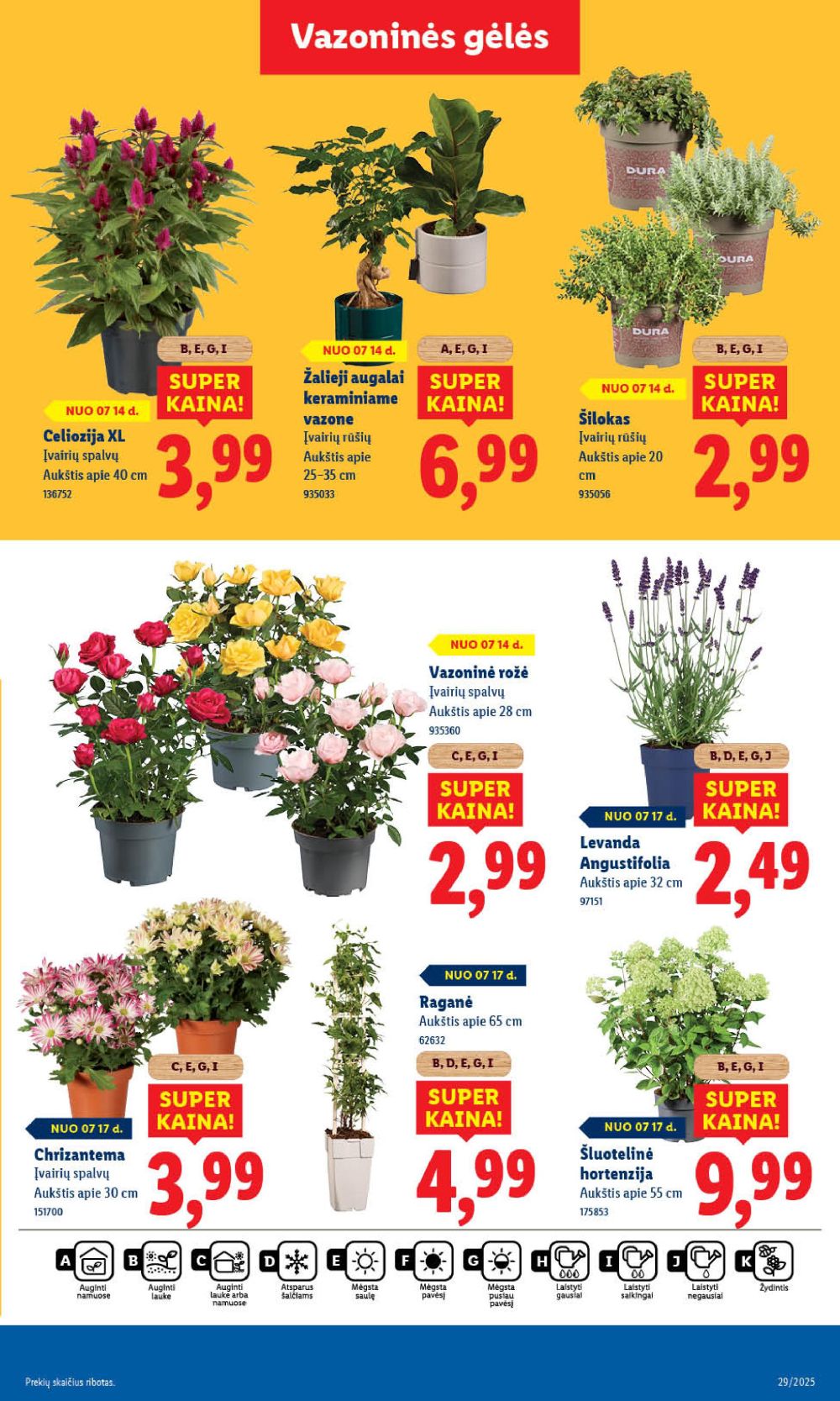 lidl - LIDL - Maisto prekių pasiūlymai (2025 07 17 - 2025 07 20) - page: 55