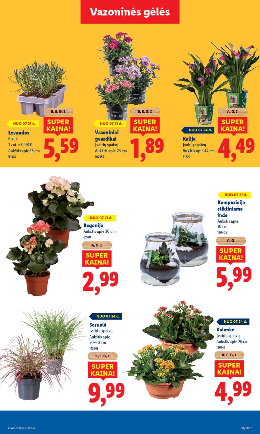lidl - LIDL - Maisto prekių pasiūlymai (2025 07 21 - 2025 07 27) - page: 41 lidl - LIDL - Maisto prekių pasiūlymai (2025 07 21 - 2025 07 27) - page: 41