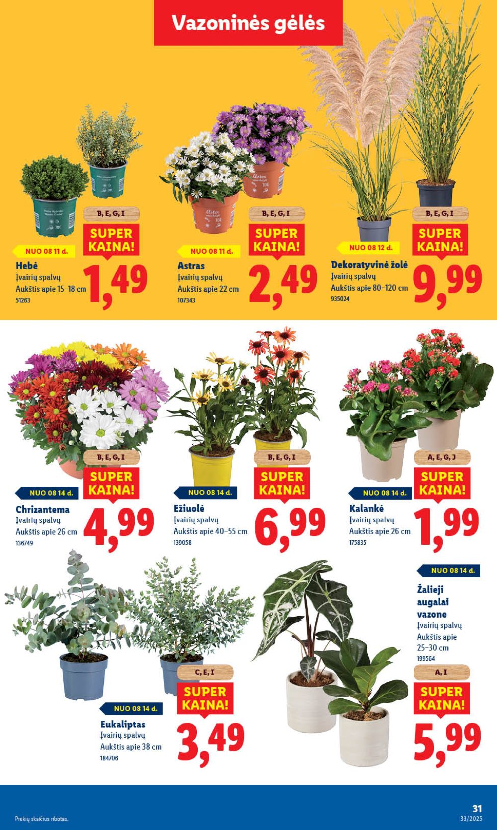 lidl - LIDL - Maisto prekių pasiūlymai (2025 08 11 - 2025 08 17) - page: 43 lidl - LIDL - Maisto prekių pasiūlymai (2025 08 11 - 2025 08 17) - page: 43