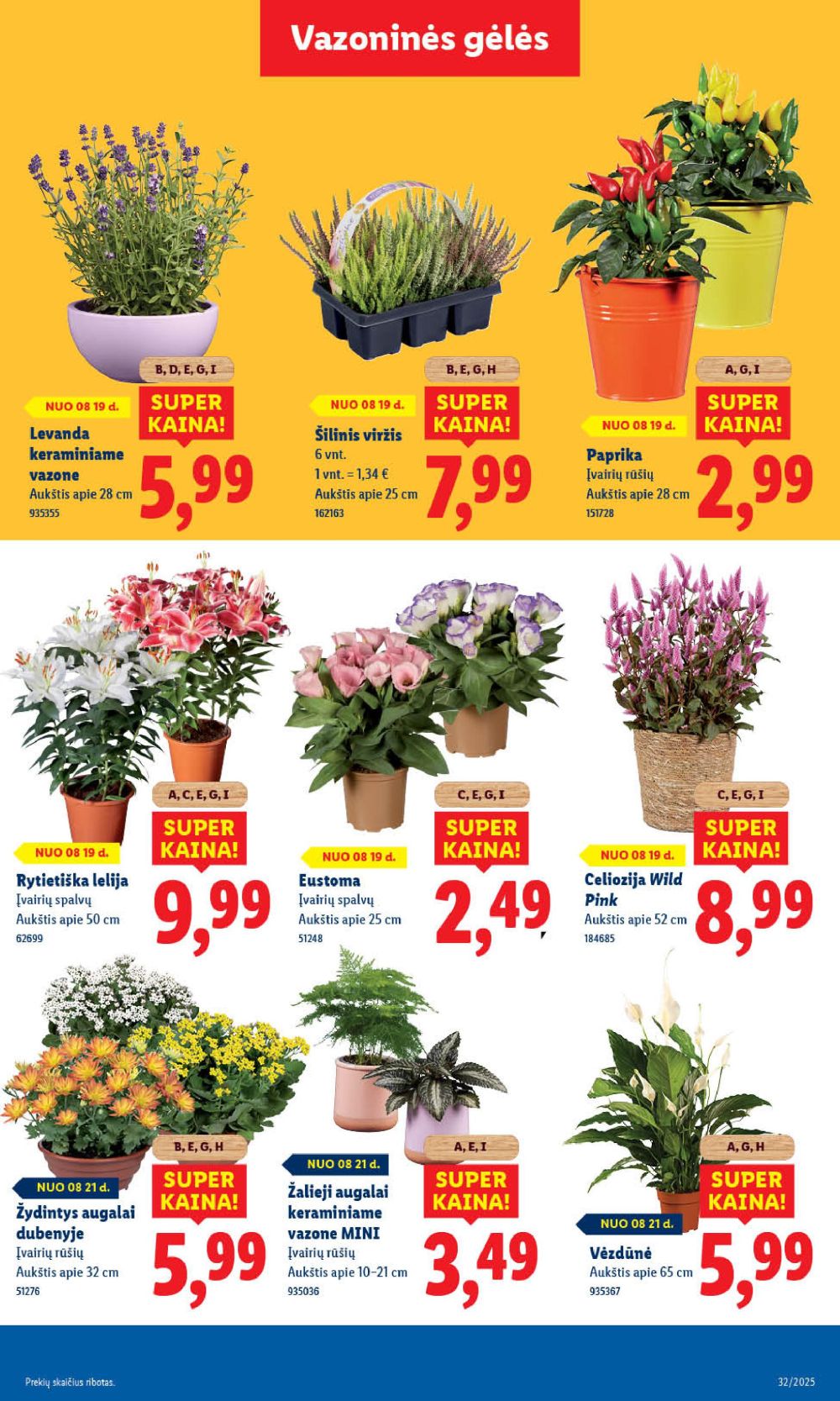 lidl - LIDL - Maisto prekių pasiūlymai (2025 08 21 - 2025 08 24) - page: 63 lidl - LIDL - Maisto prekių pasiūlymai (2025 08 21 - 2025 08 24) - page: 63