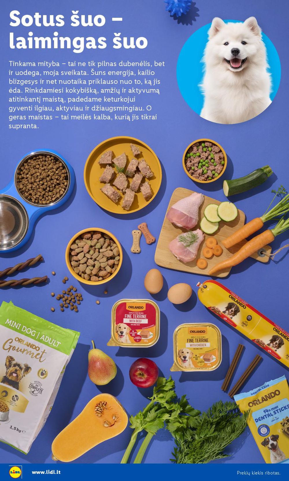 lidl - LIDL - AUGINTINIŲ FESTIVALIS (2025 08 25 - 2025 09 07) - page: 4