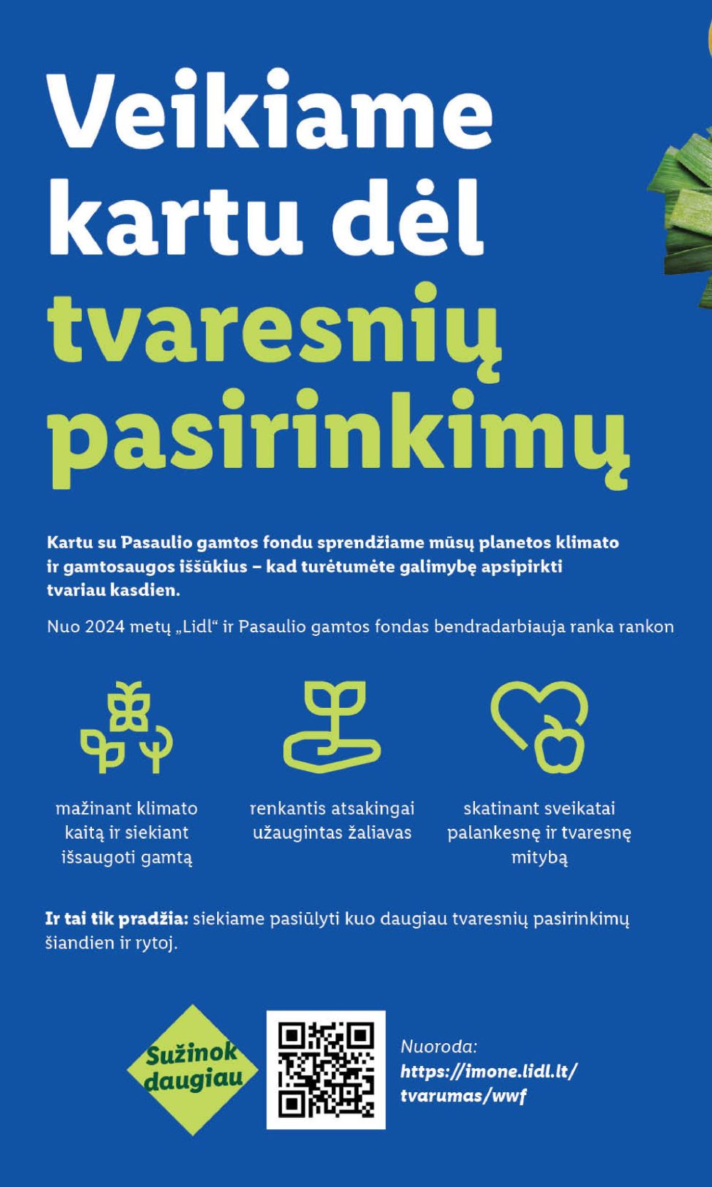 lidl - LIDL - Maisto prekių pasiūlymai (2025 08 28 - 2025 08 31) - page: 52 lidl - LIDL - Maisto prekių pasiūlymai (2025 08 28 - 2025 08 31) - page: 52