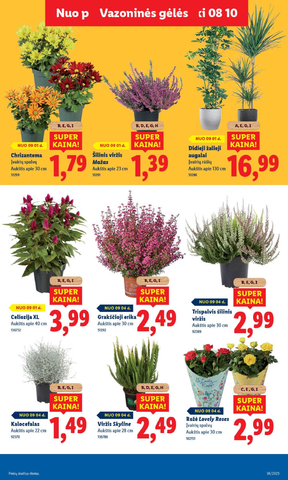 lidl - LIDL - Maisto prekių pasiūlymai (2025 09 01 - 2025 09 07) - page: 47 lidl - LIDL - Maisto prekių pasiūlymai (2025 09 01 - 2025 09 07) - page: 47