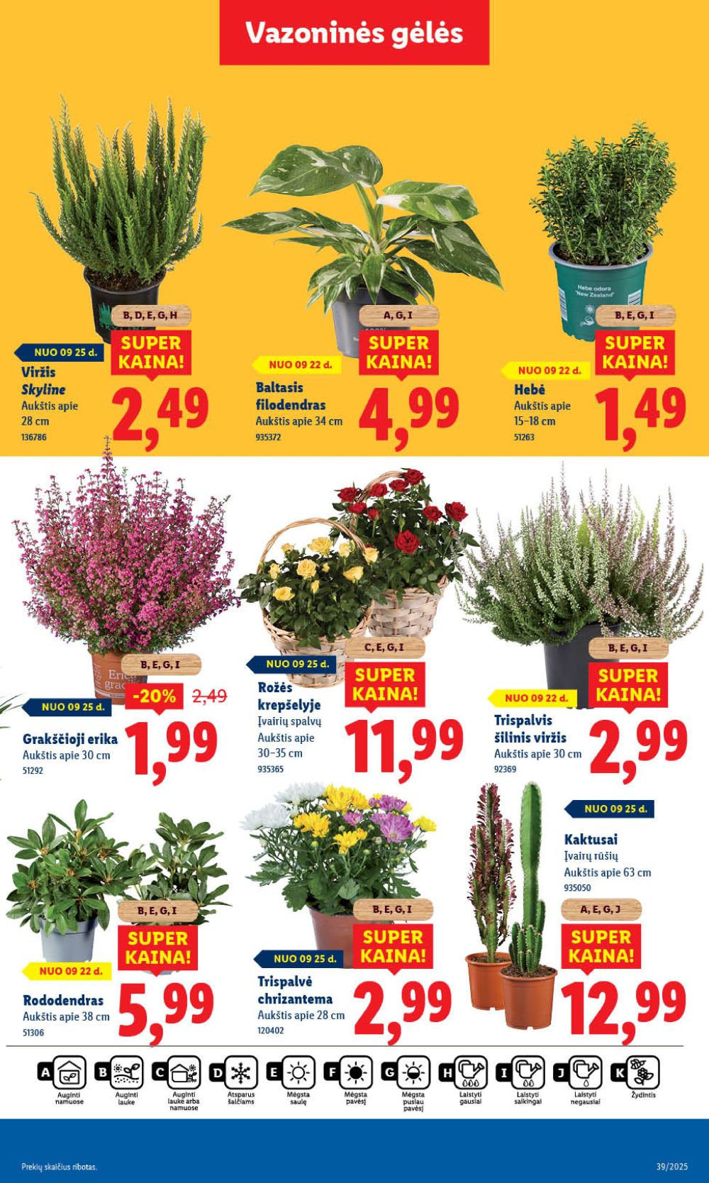 lidl - LIDL - Maisto prekių pasiūlymai (2025 09 22 - 2025 09 28) - page: 43 lidl - LIDL - Maisto prekių pasiūlymai (2025 09 22 - 2025 09 28) - page: 43