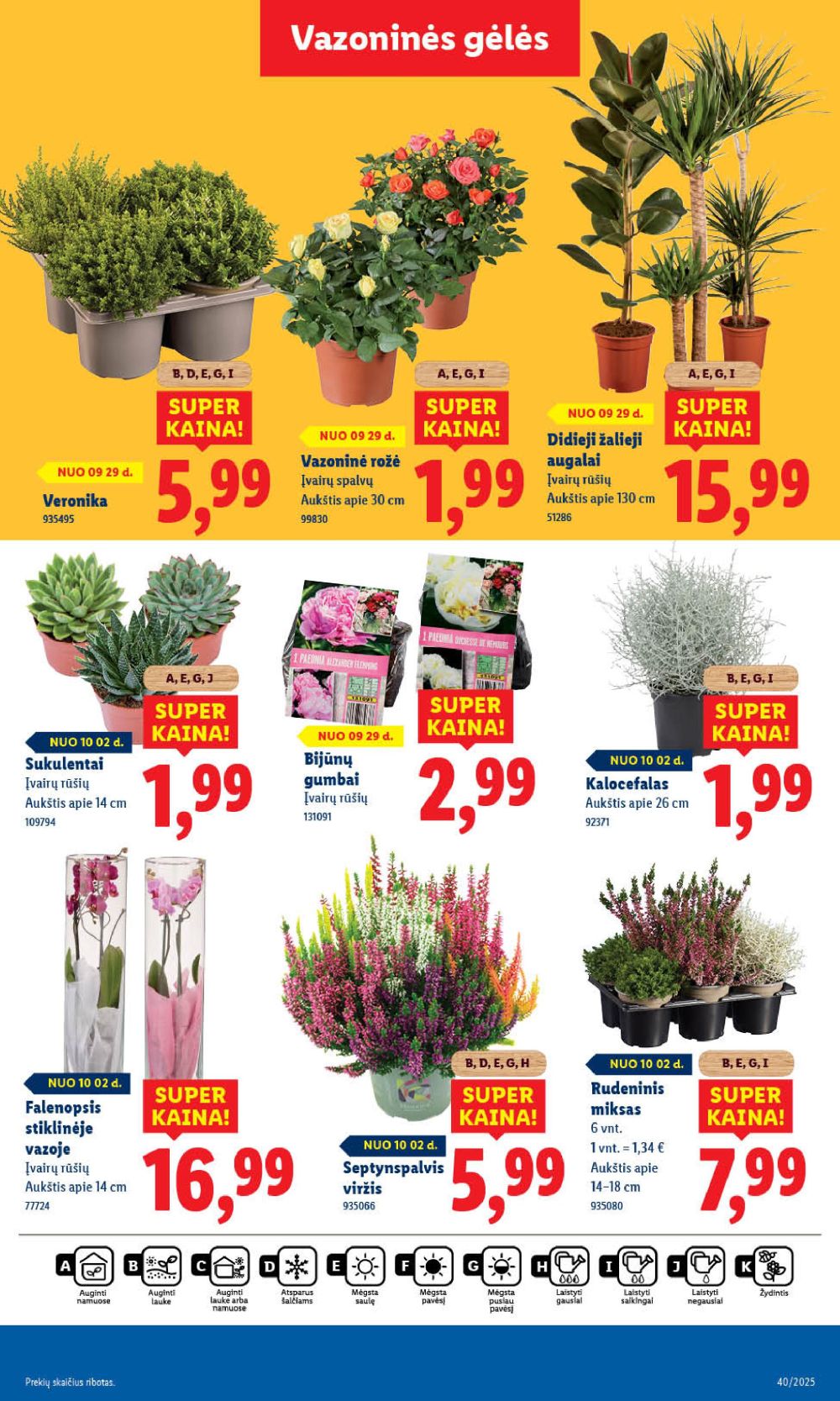 lidl - LIDL - Maisto prekių pasiūlymai (2025 10 02 - 2025 10 05) - page: 50
