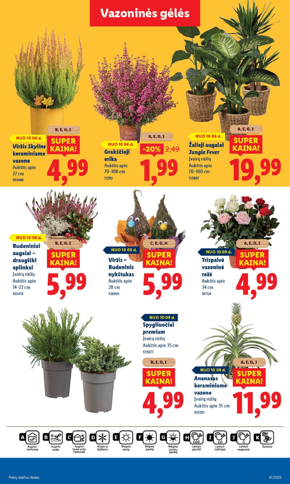 lidl - LIDL - Maisto prekių pasiūlymai (2025 10 06 - 2025 10 12) - page: 63