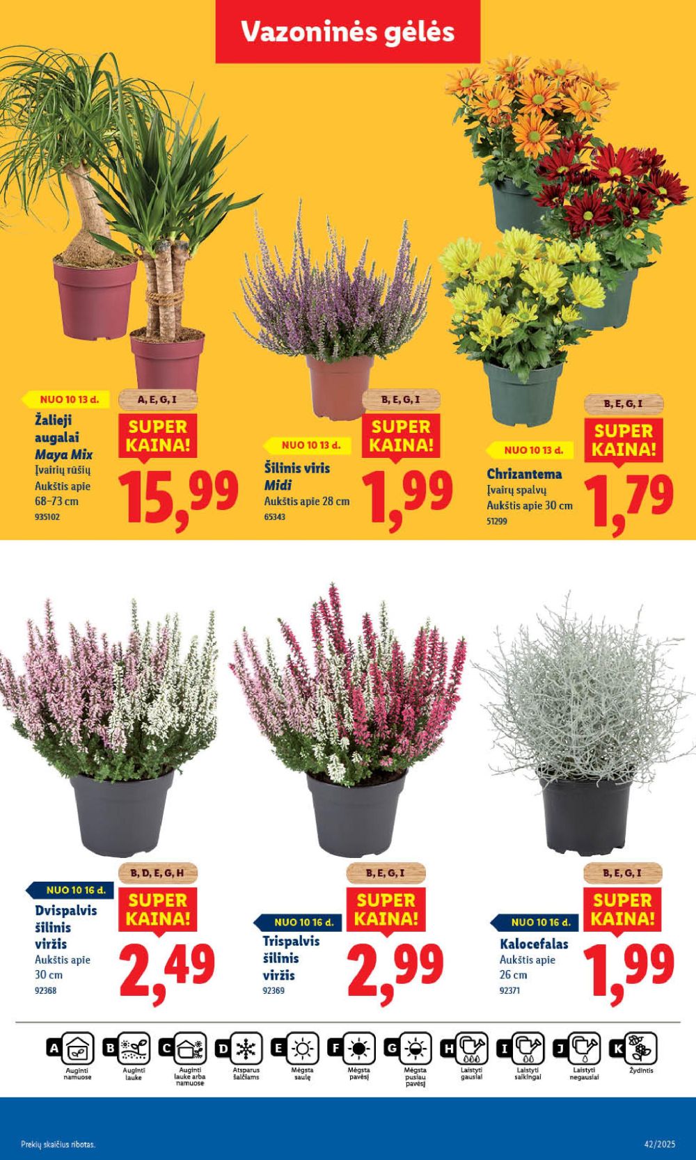 lidl - LIDL - Maisto prekių pasiūlymai (2025 10 13 - 2025 10 19) - page: 51