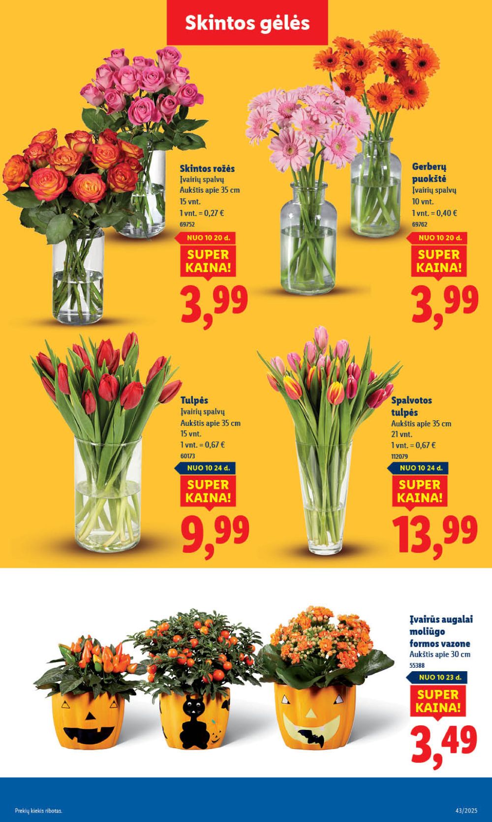 lidl - LIDL - Maisto prekių pasiūlymai (2025 10 23 - 2025 10 26) - page: 61 lidl - LIDL - Maisto prekių pasiūlymai (2025 10 23 - 2025 10 26) - page: 61