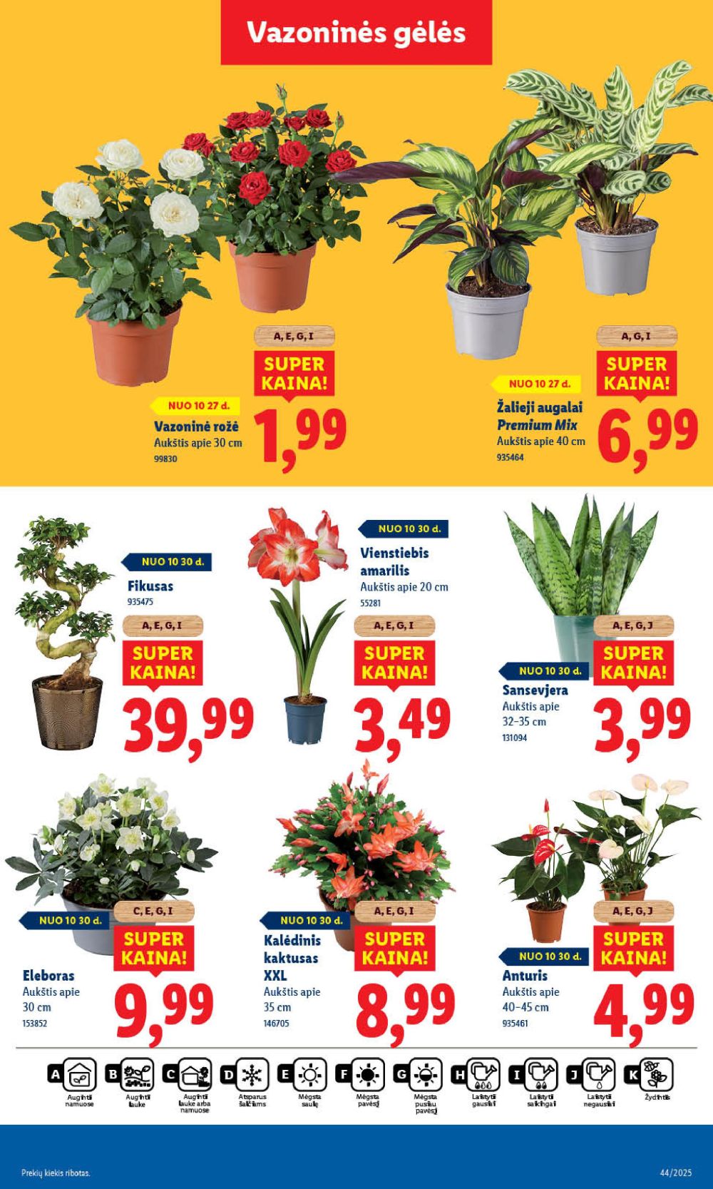 lidl - LIDL - Maisto prekių pasiūlymai (2025 10 30 - 2025 11 02) - page: 57 lidl - LIDL - Maisto prekių pasiūlymai (2025 10 30 - 2025 11 02) - page: 57