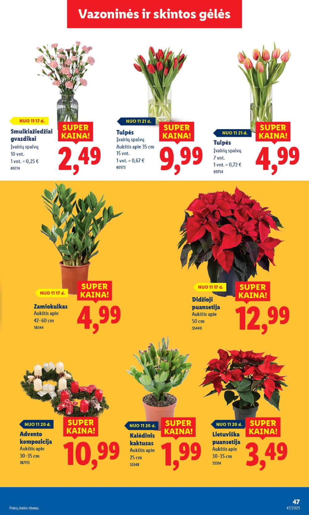 lidl - LIDL - Maisto prekių pasiūlymai (2025 11 20 - 2025 11 23) - page: 49