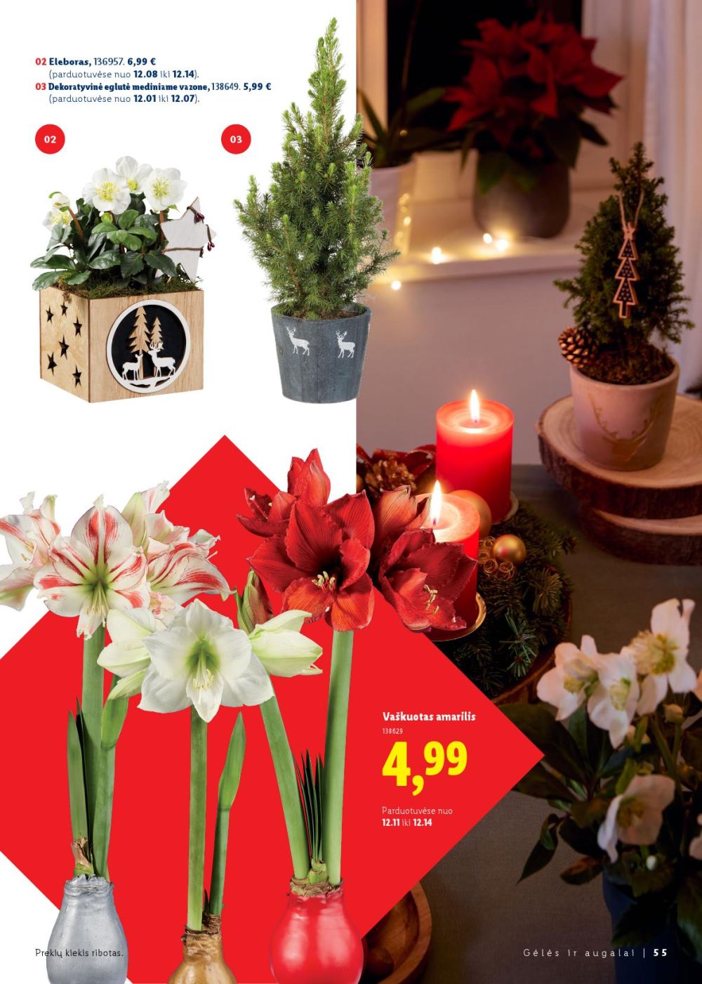 lidl - LIDL - Kalėdų stalui - page: 55