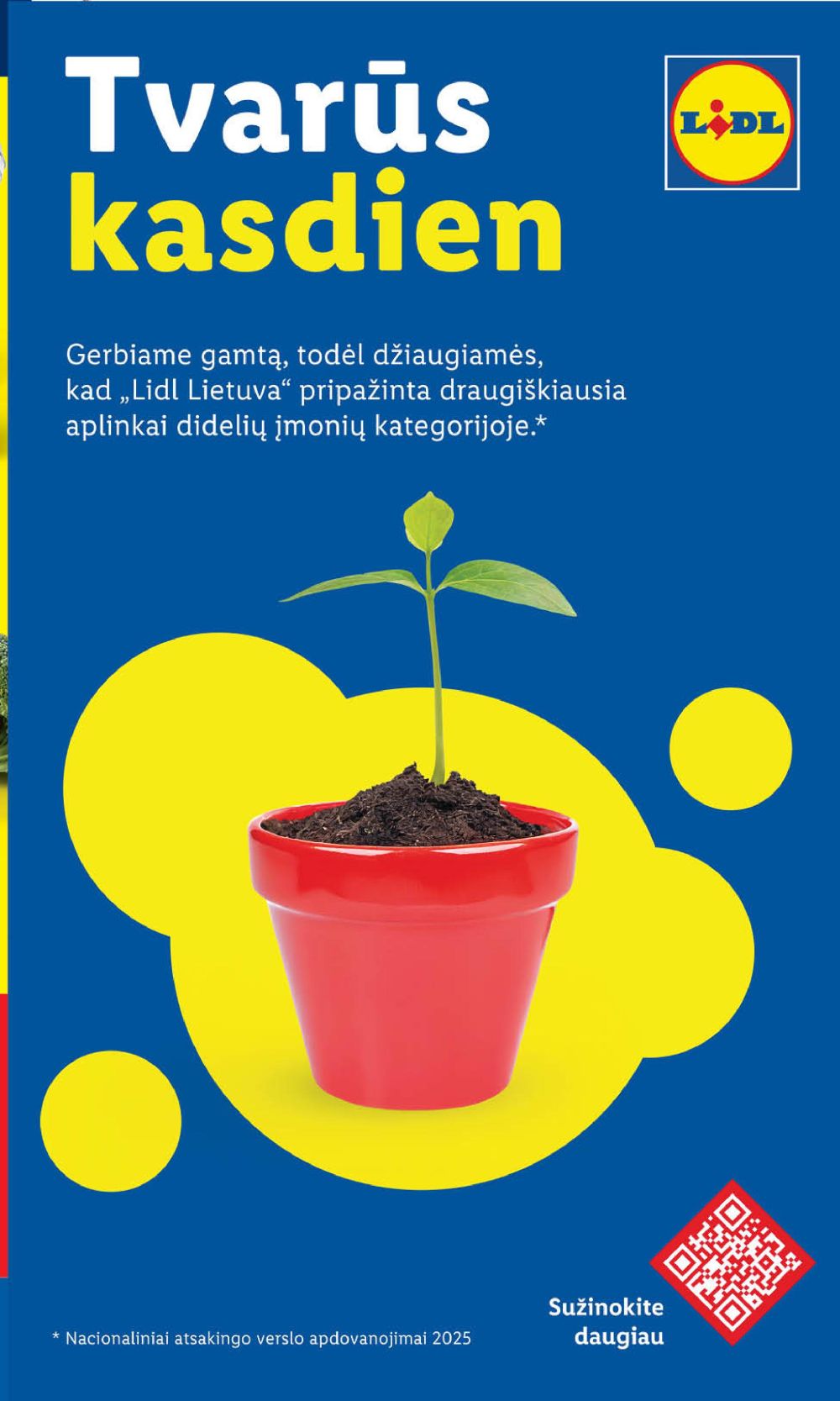 lidl - LIDL - Maisto prekių pasiūlymai (2025 12 29 - 2026 01 04) - page: 37