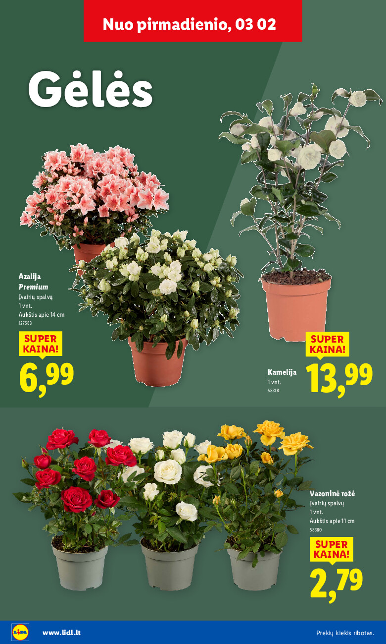 lidl - Sodui valio! (2026-02-16 - 2026-03-08) - page: 24