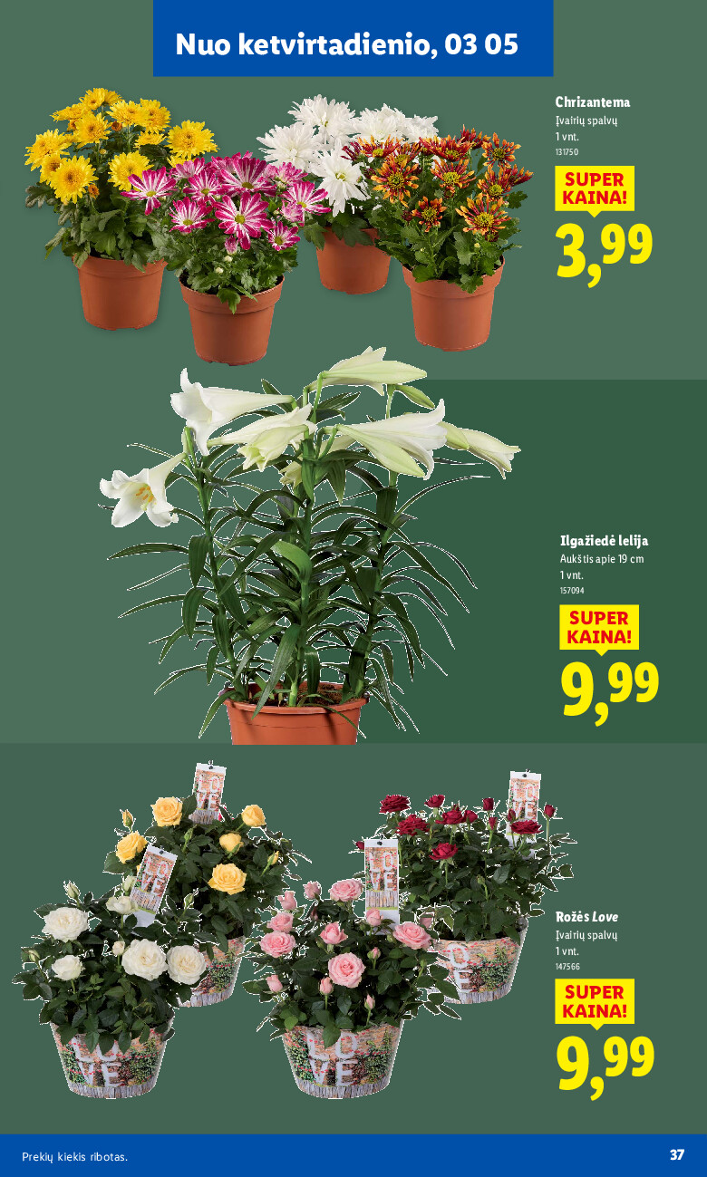 lidl - Sodui valio! (2026-02-16 - 2026-03-08) - page: 25