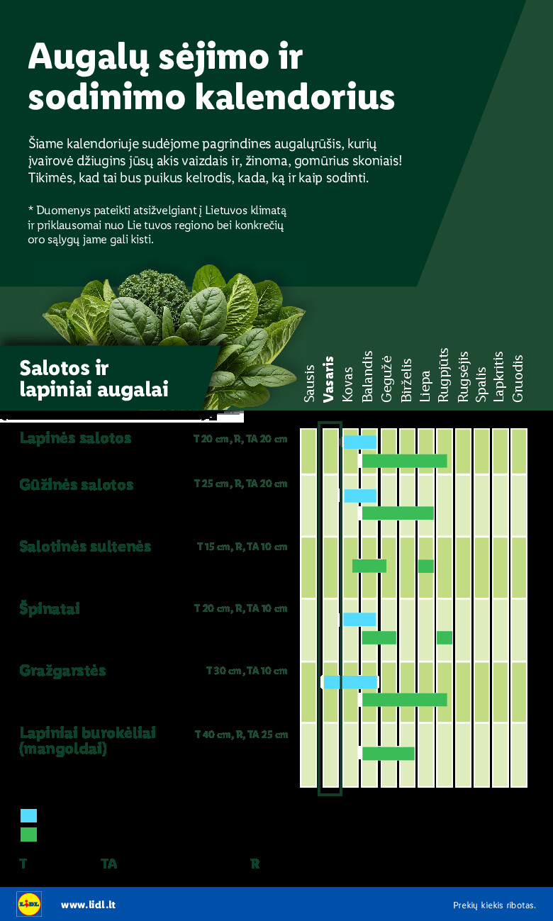 lidl - Sodui valio! (2026-02-16 - 2026-03-08) - page: 4
