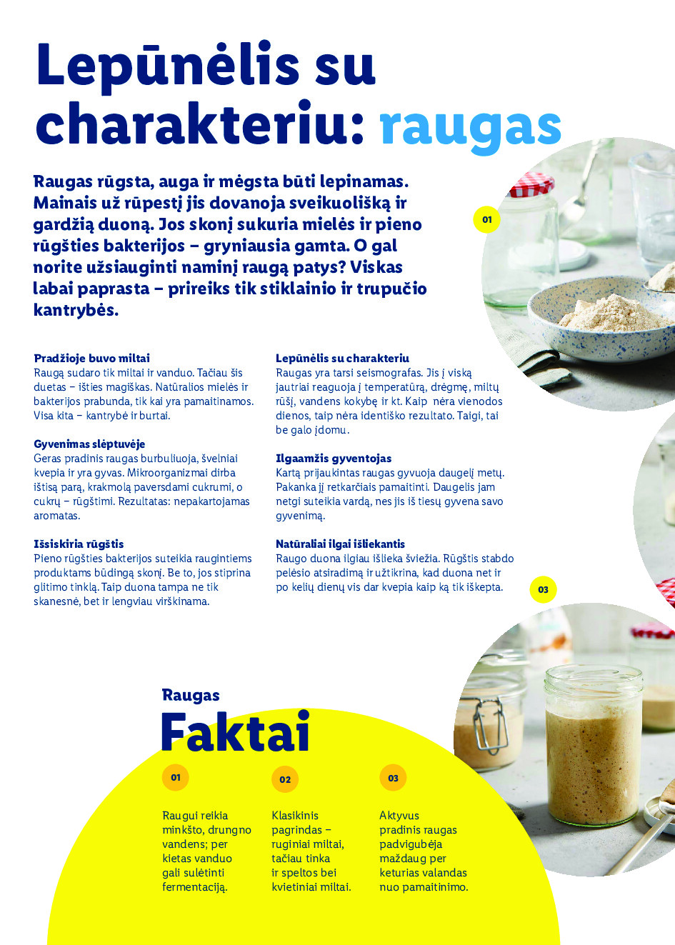 lidl - Velykos, pilnos džiaugsmo (2026-02-23 - 2026-04-06) - page: 44