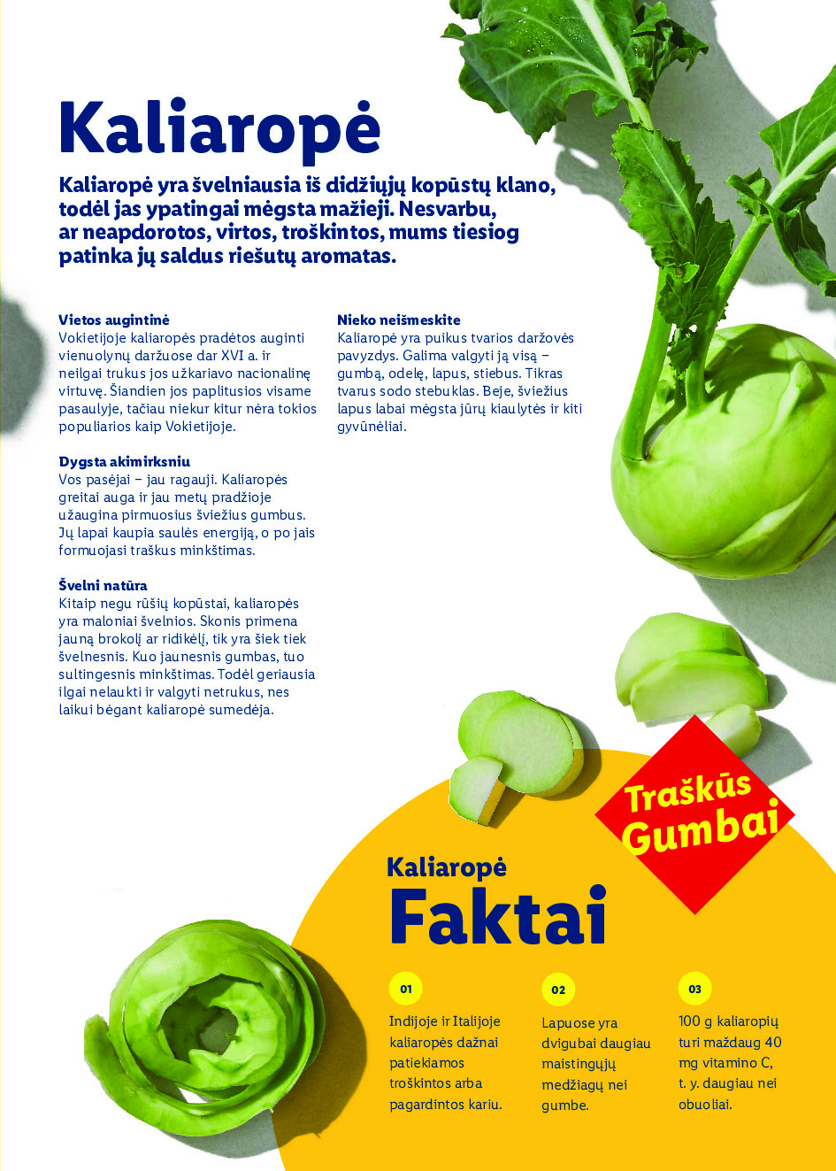 lidl - Velykos, pilnos džiaugsmo (2026-02-23 - 2026-04-06) - page: 77